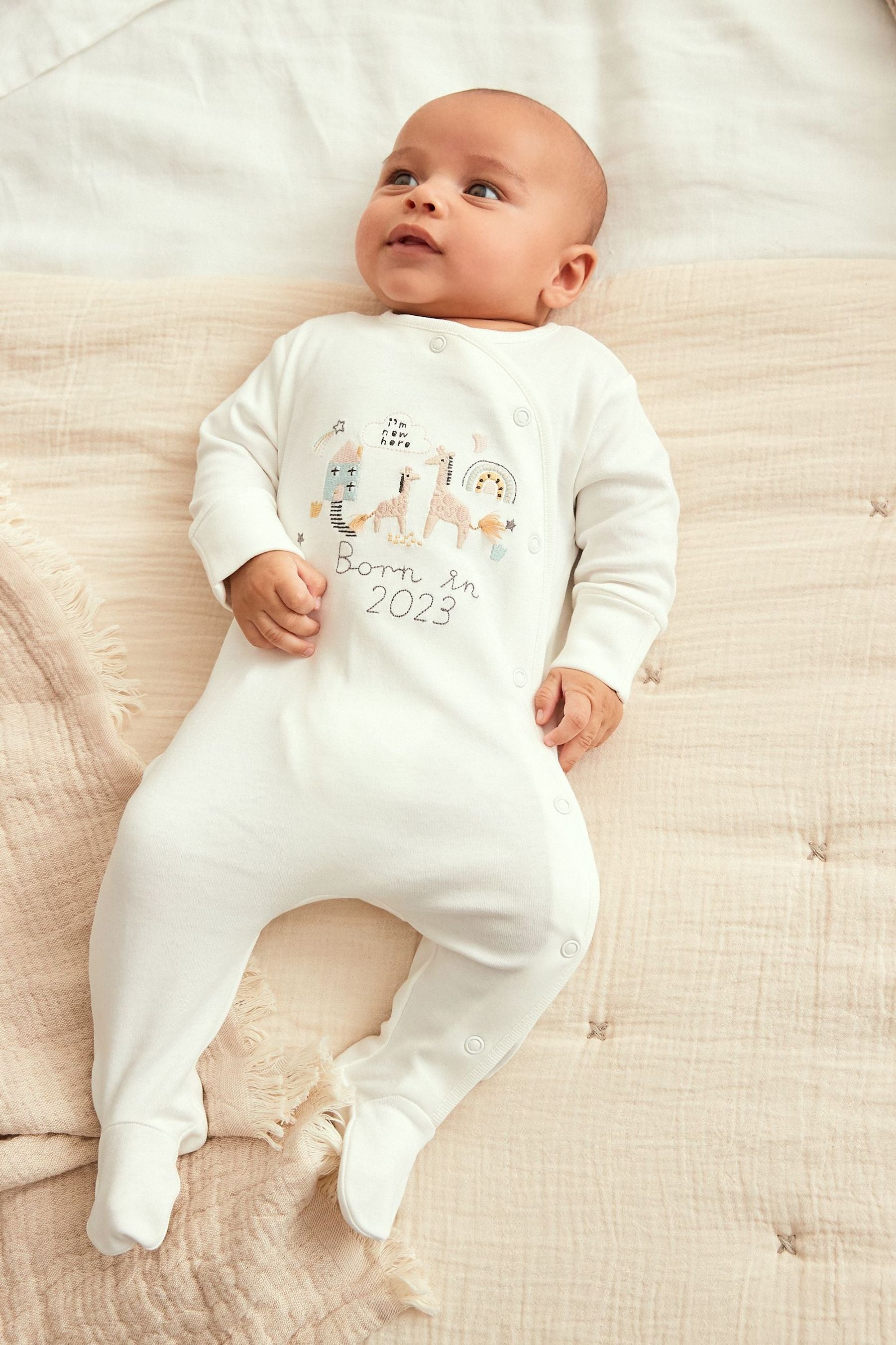 White/Grey Born In 2023 Single Sleepsuit (0-9mths)