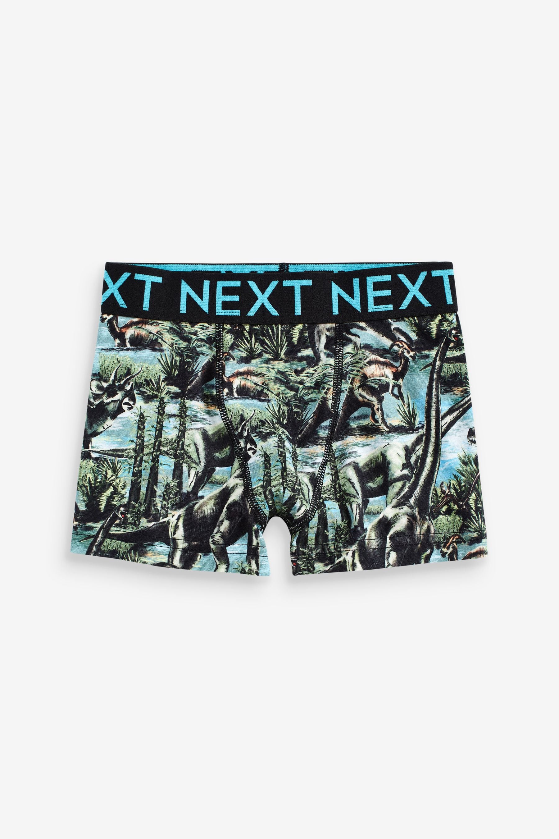 Dino Print Trunks 5 Pack (2-16yrs)