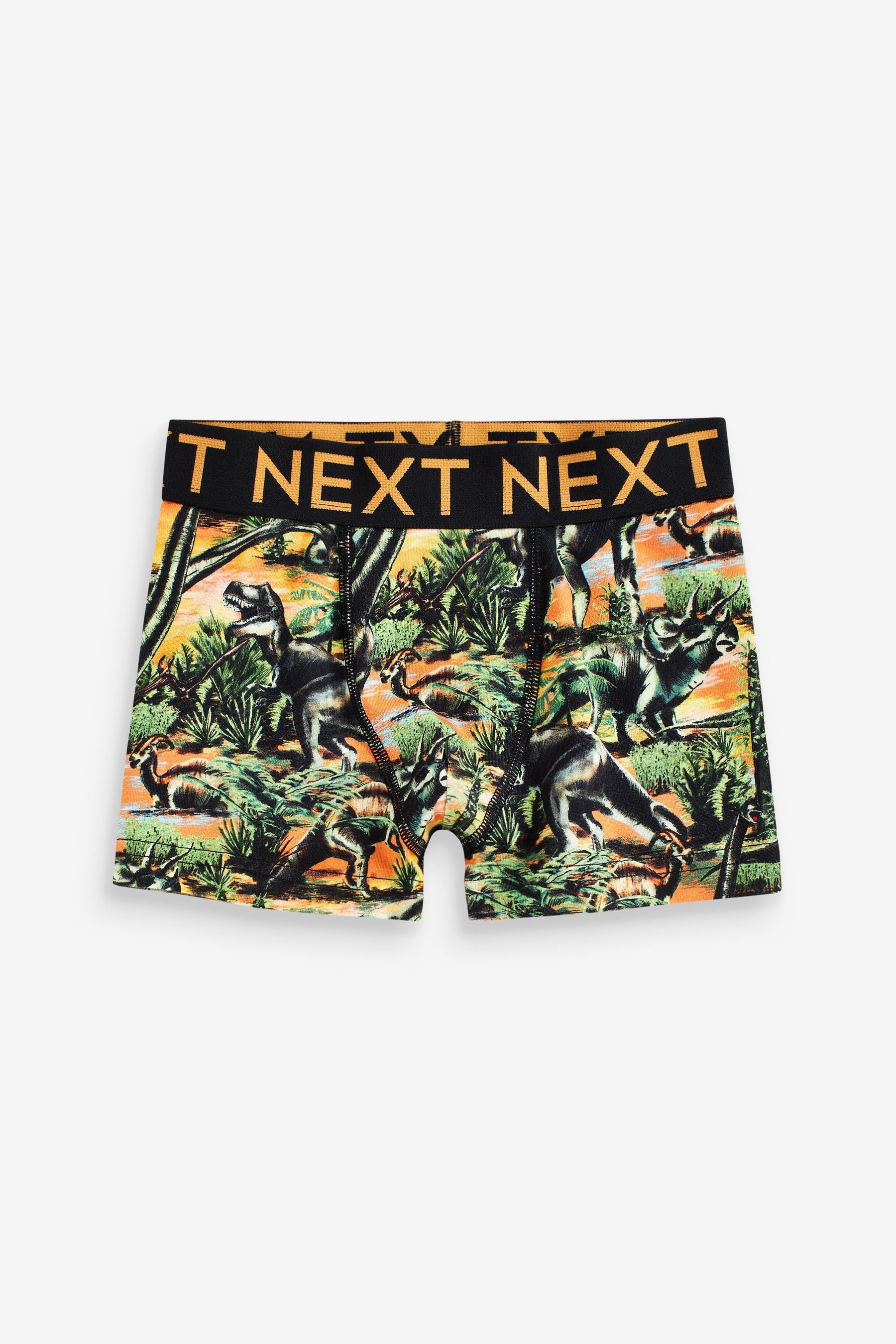 Dino Print Trunks 5 Pack (2-16yrs)