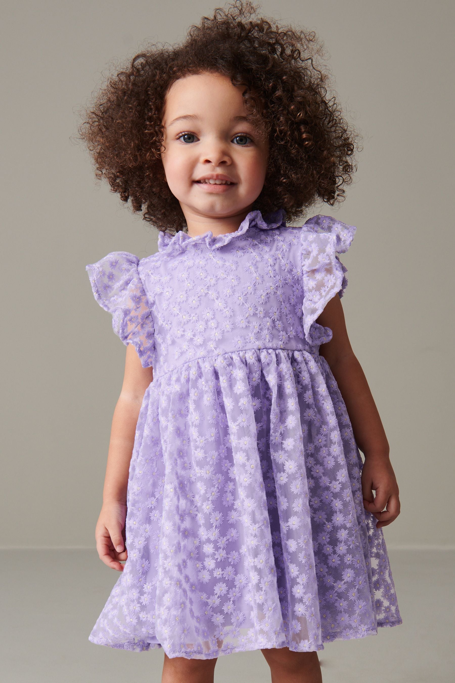 Lilac Purple Short Sleeve Lace Dress (3mths-6yrs)