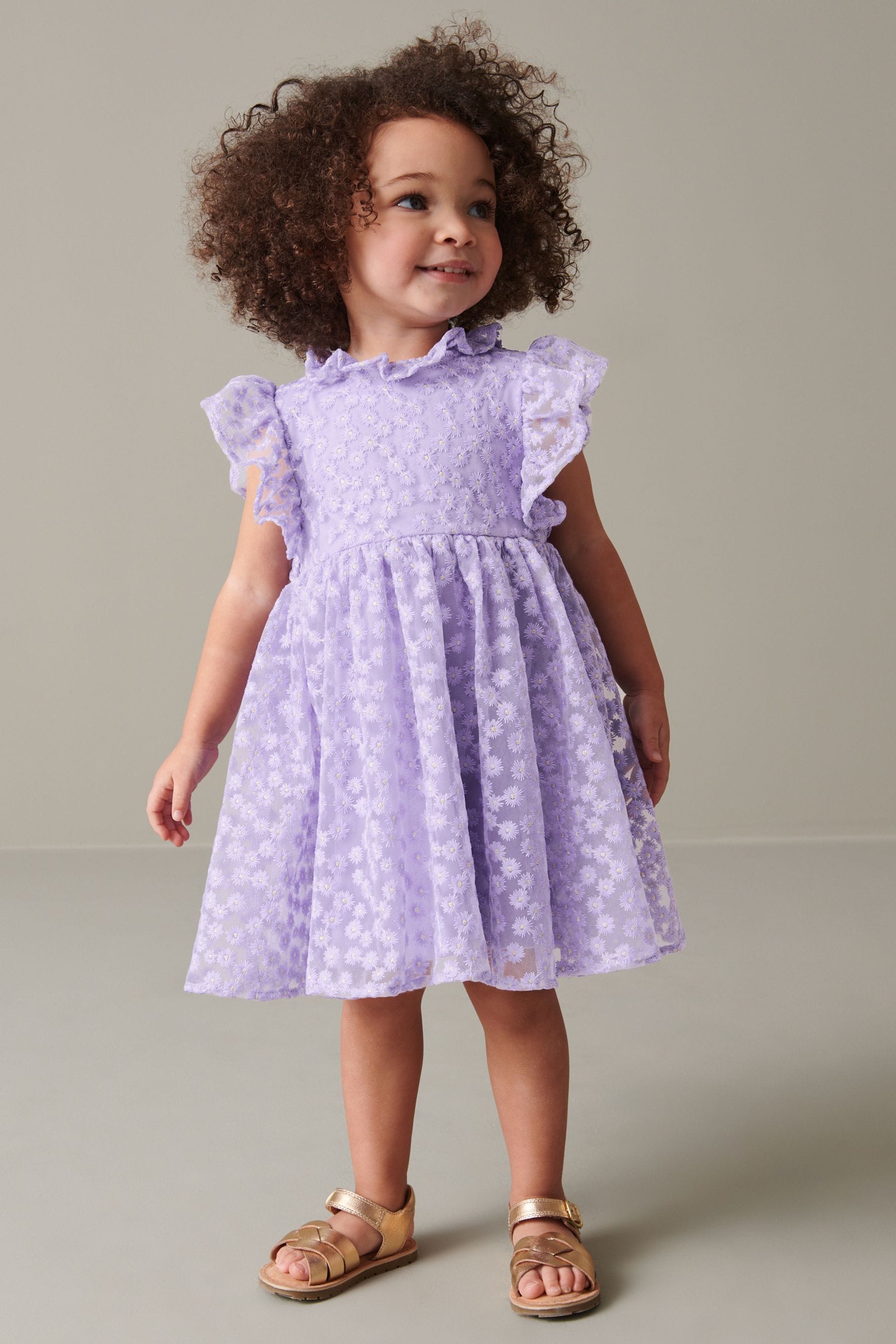 Lilac Purple Short Sleeve Lace Dress (3mths-6yrs)