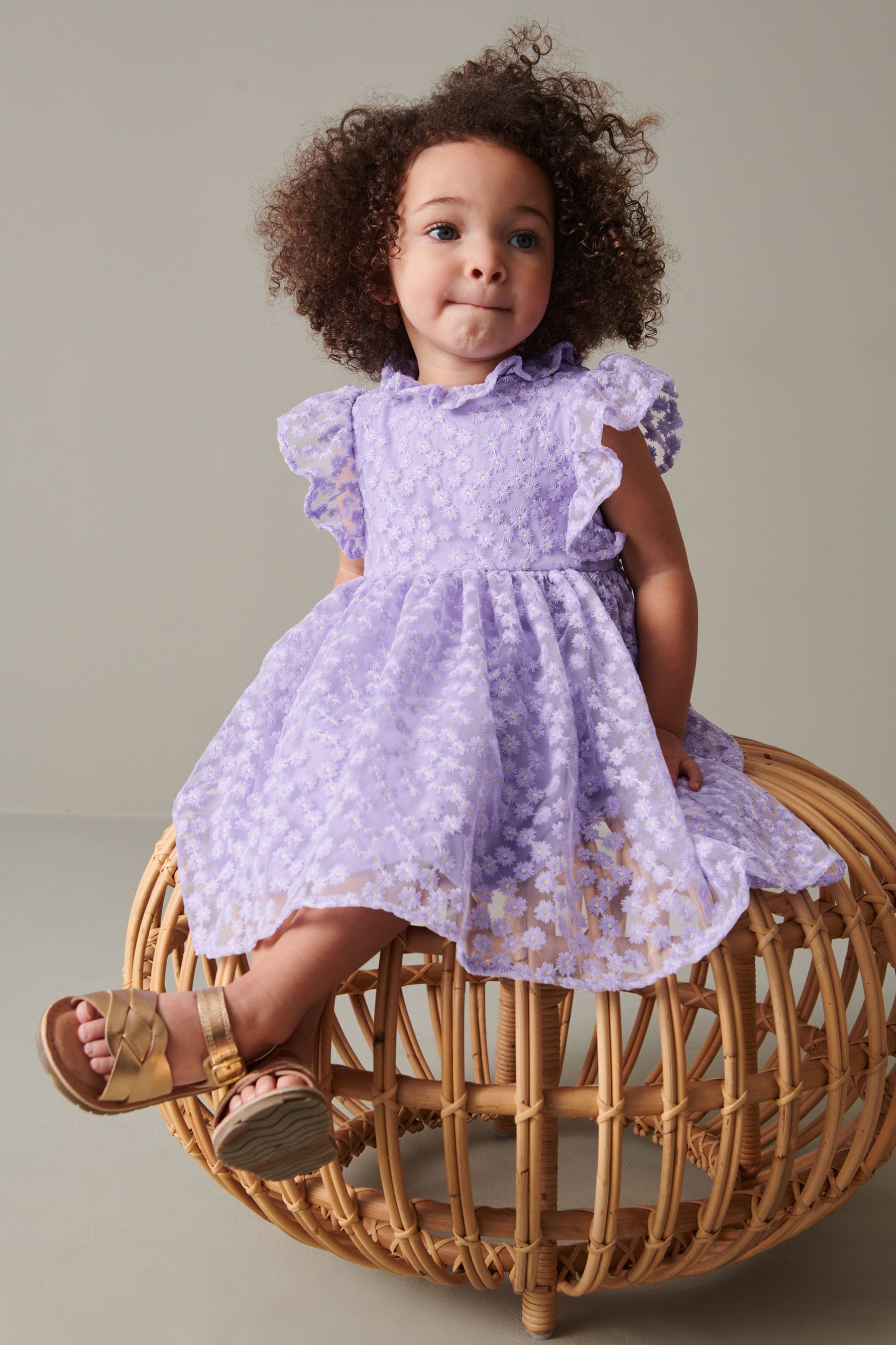 Lilac Purple Short Sleeve Lace Dress (3mths-6yrs)