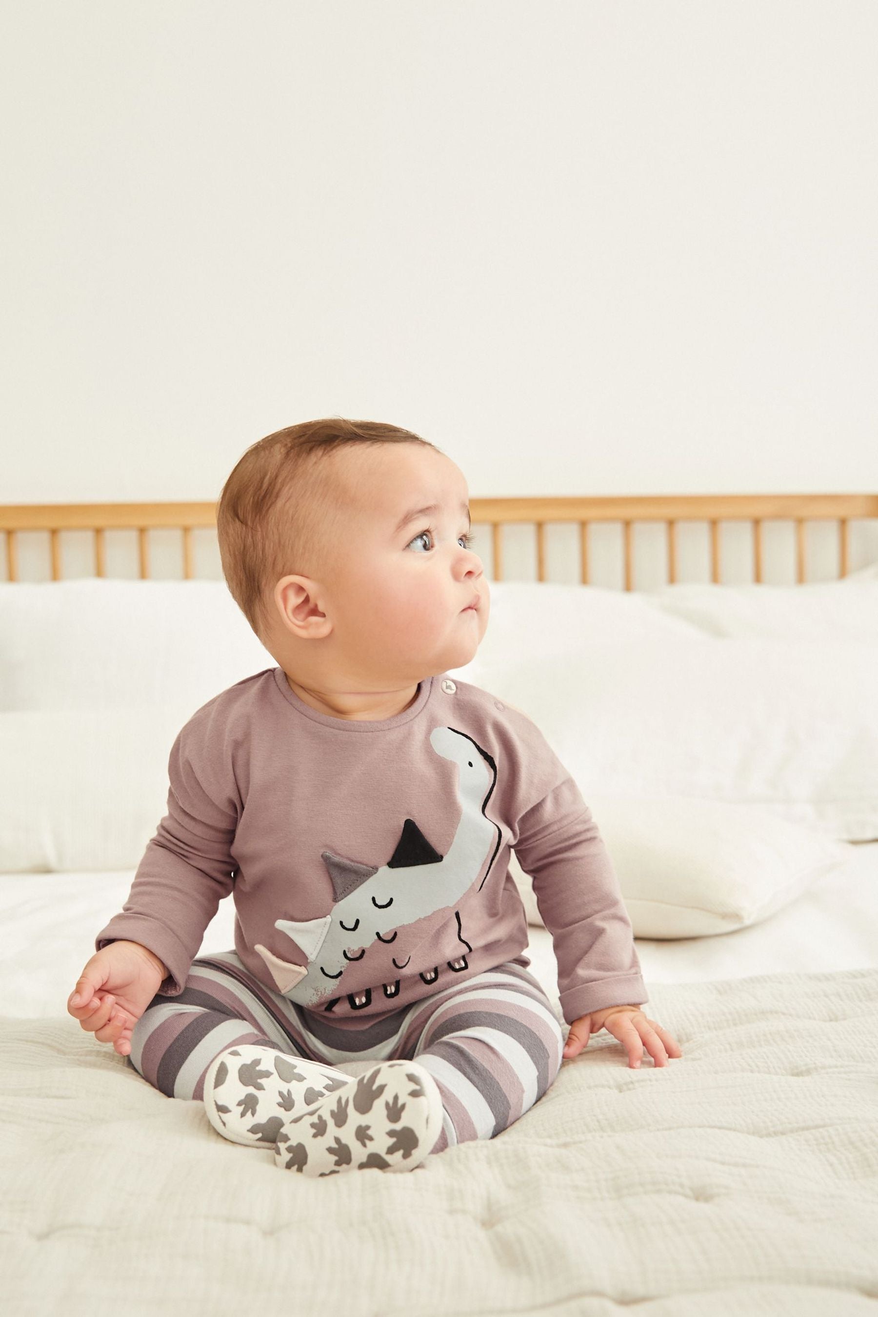 Grey Dinosaur Baby T-Shirt And Leggings 2 Piece Set