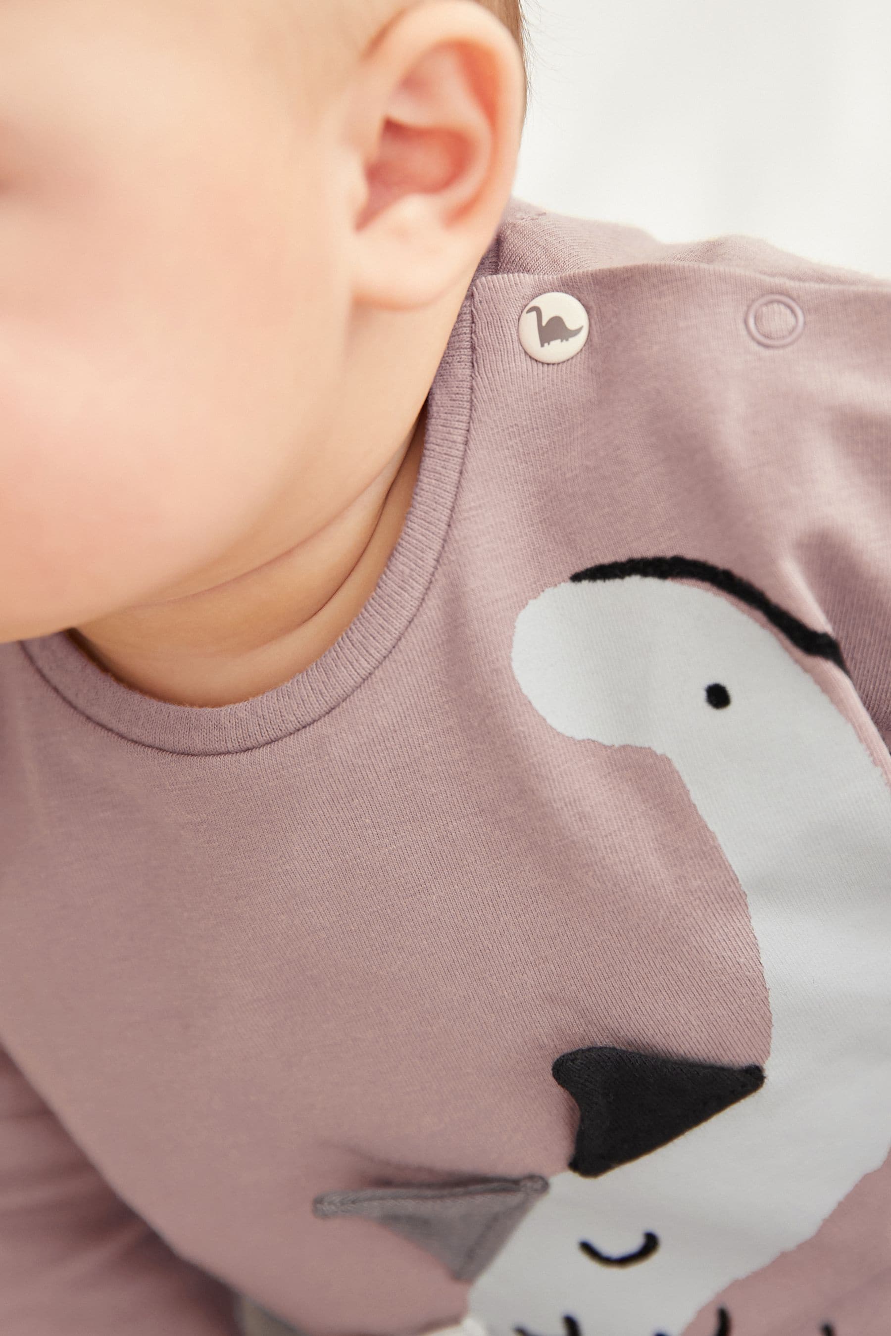 Grey Dinosaur Baby T-Shirt And Leggings 2 Piece Set