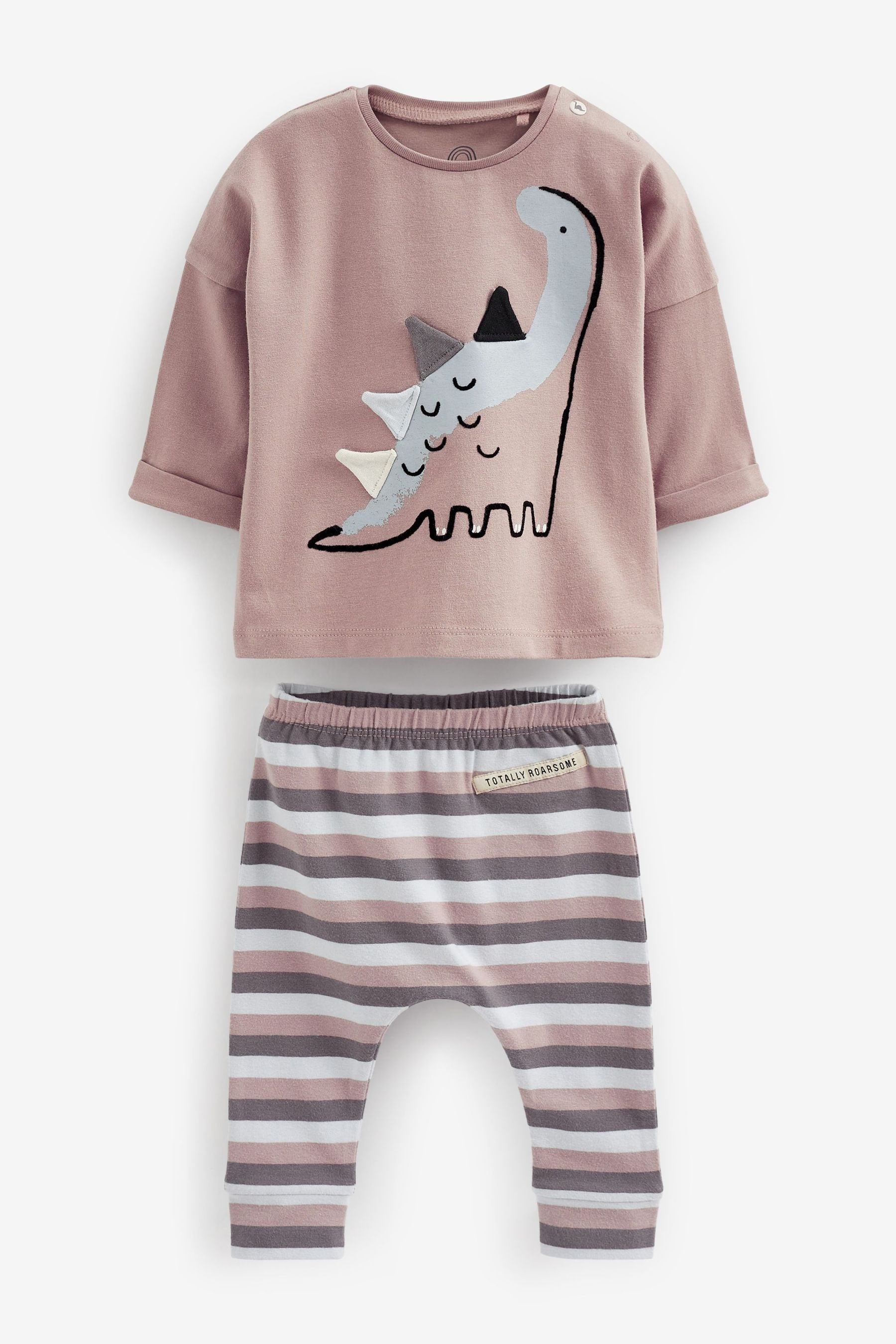 Grey Dinosaur Baby T-Shirt And Leggings 2 Piece Set