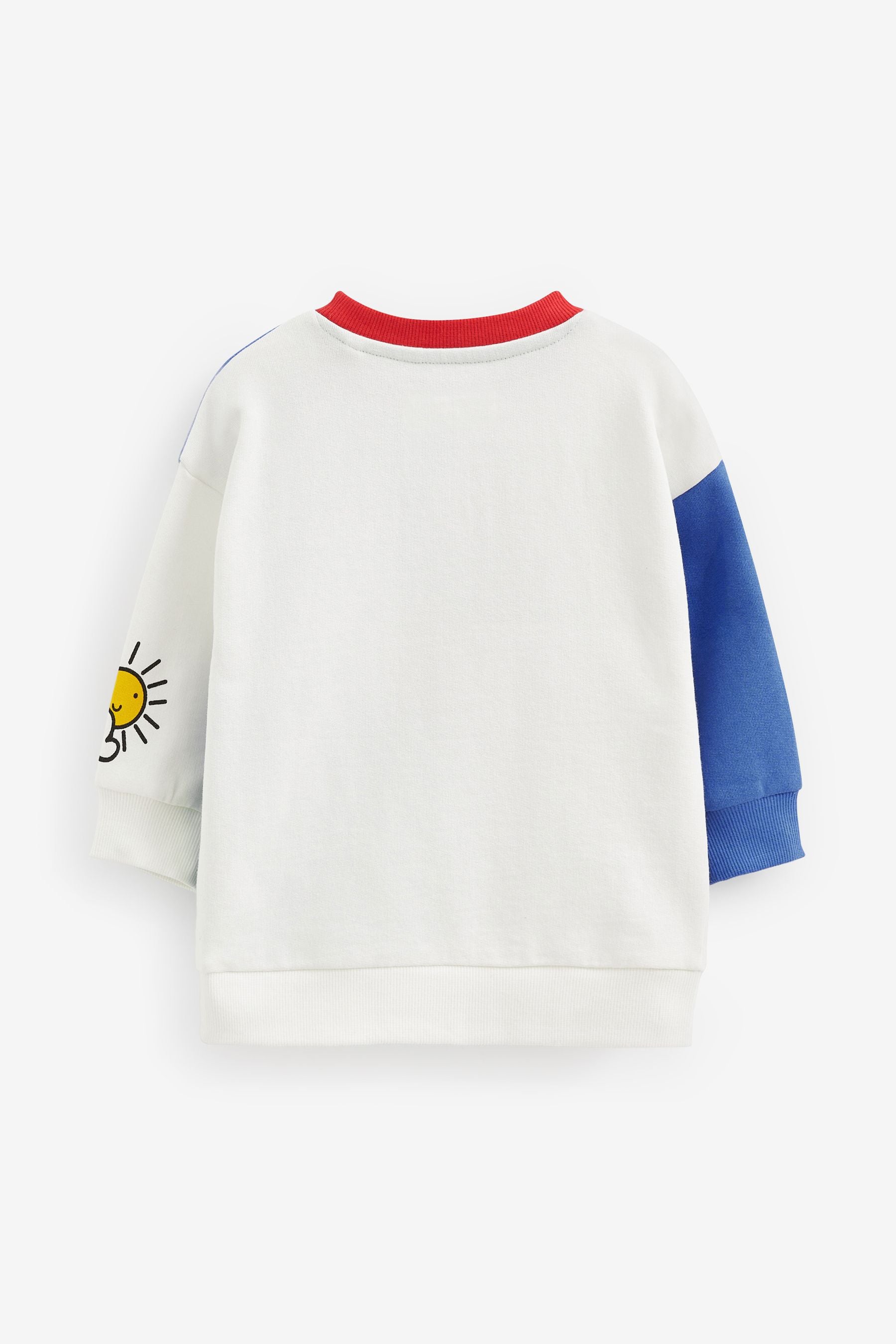 Multi Colour Colourblock Crew Neck (3mths-7yrs)