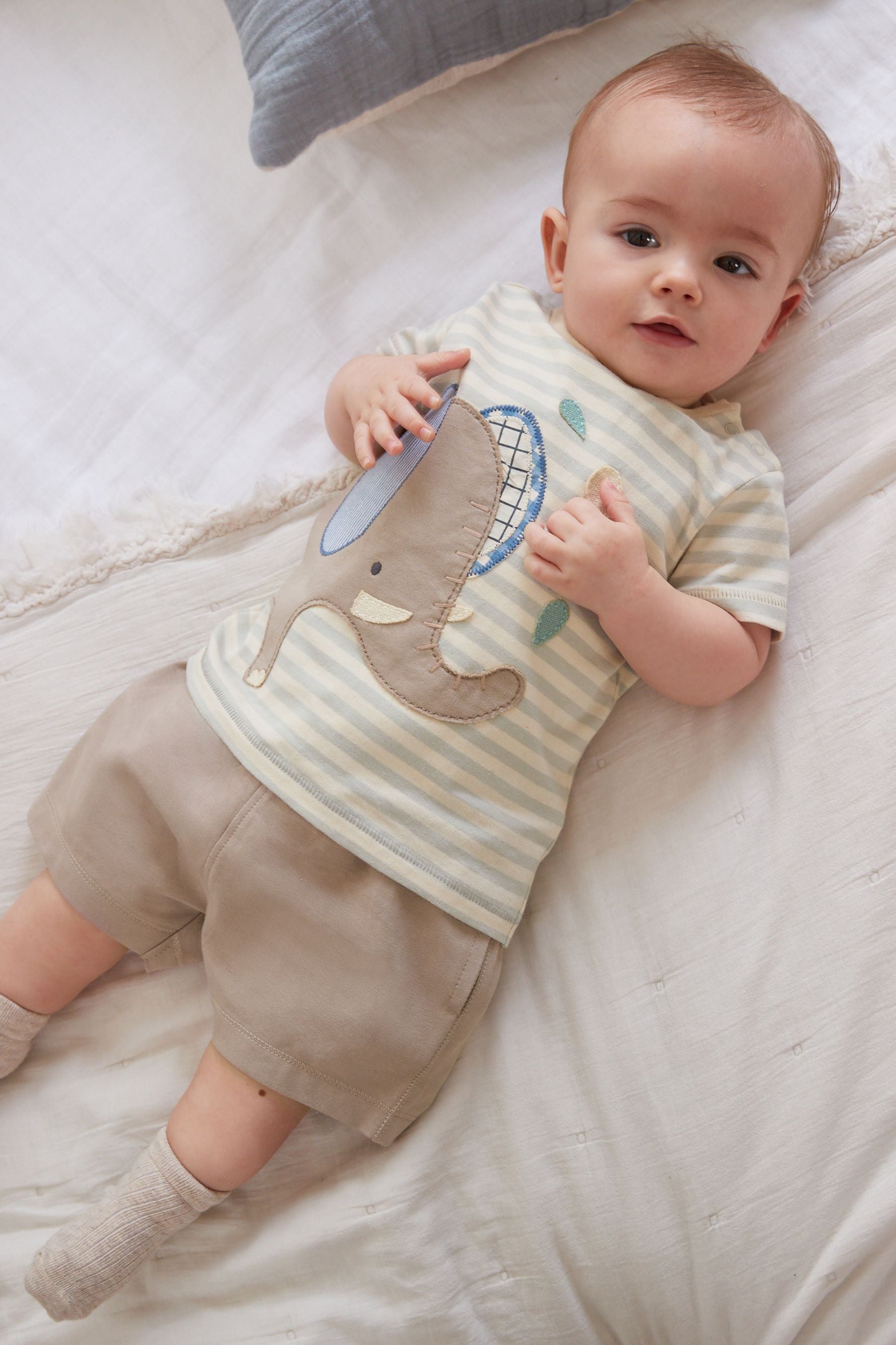 Stone Natural Elephant Baby T-Shirt And Shorts 2 Piece Set