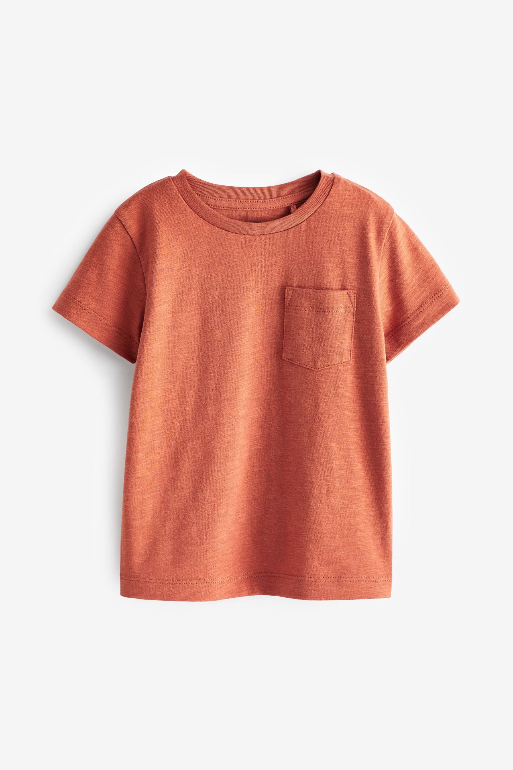 Rust Orange Short Sleeve Plain T-Shirt (3mths-7yrs)