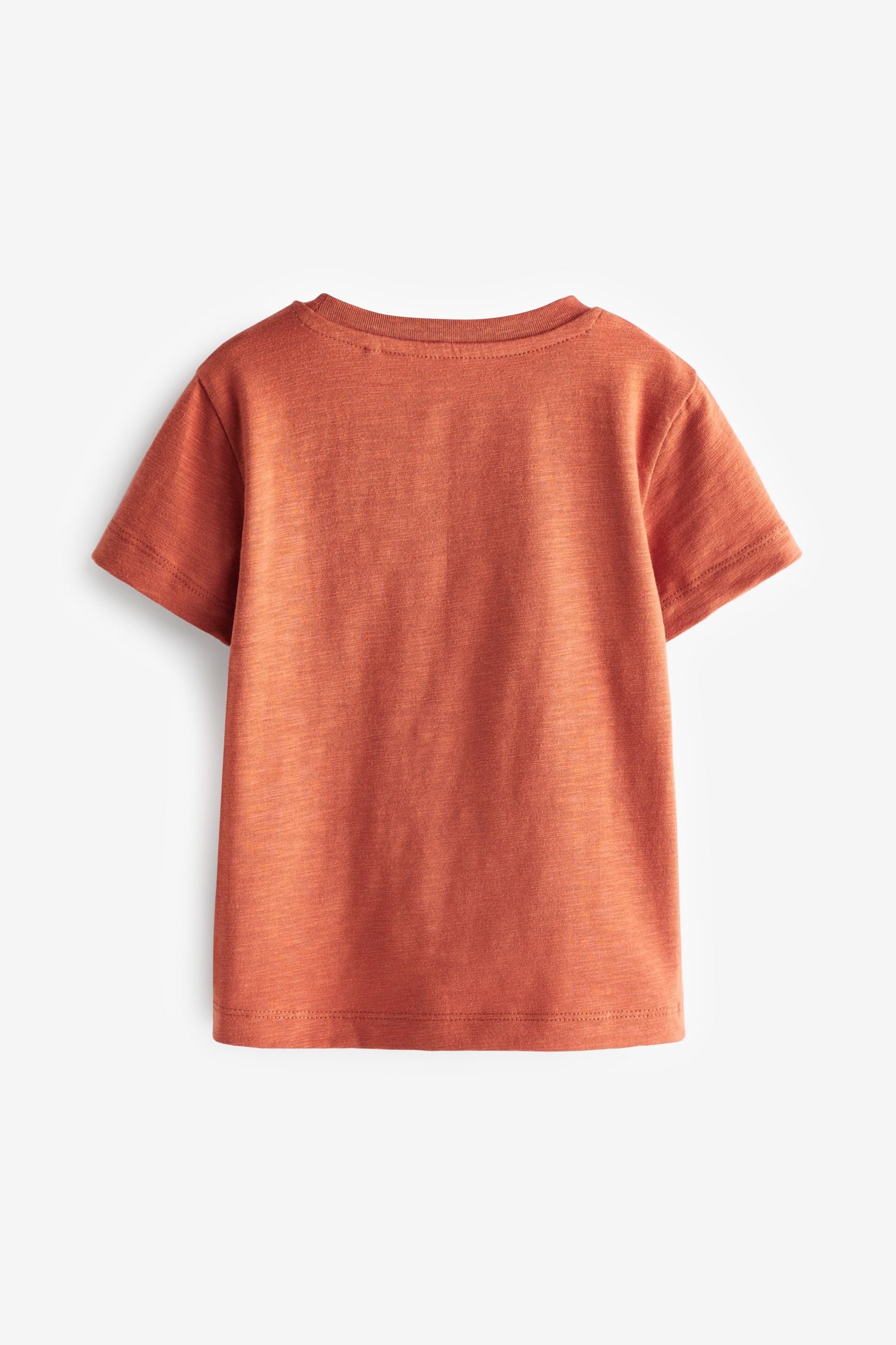 Rust Orange Short Sleeve Plain T-Shirt (3mths-7yrs)