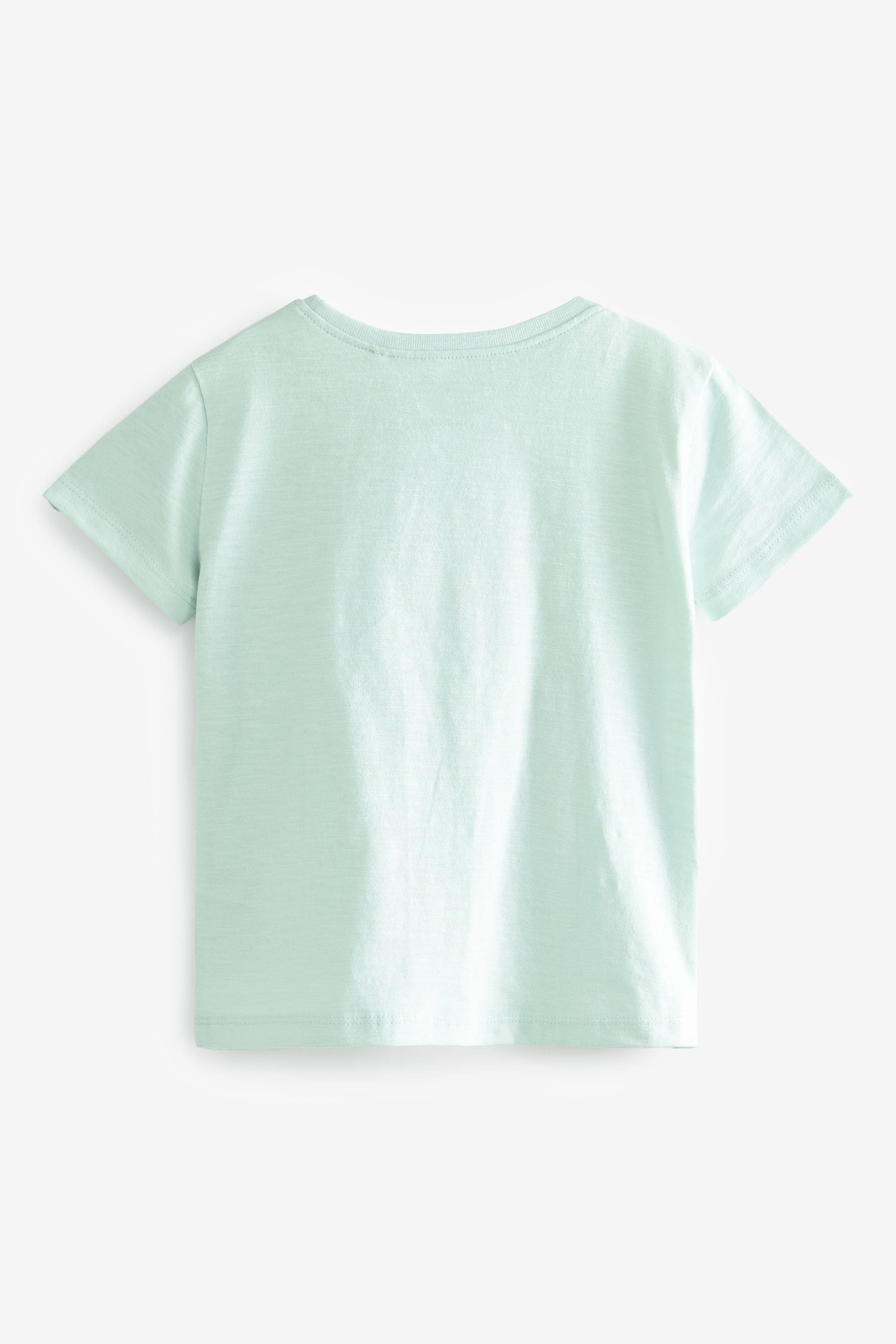 Mint Green Ladybird Sequin T-Shirt (3mths-7yrs)