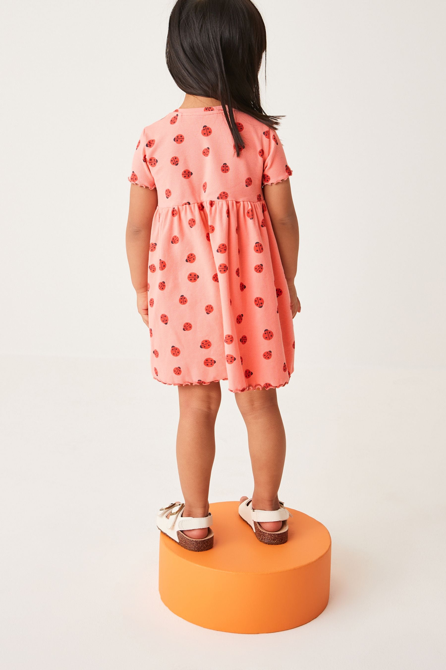 Pink Ladybird Short Sleeve Rib Jersey Dress (3mths-7yrs)