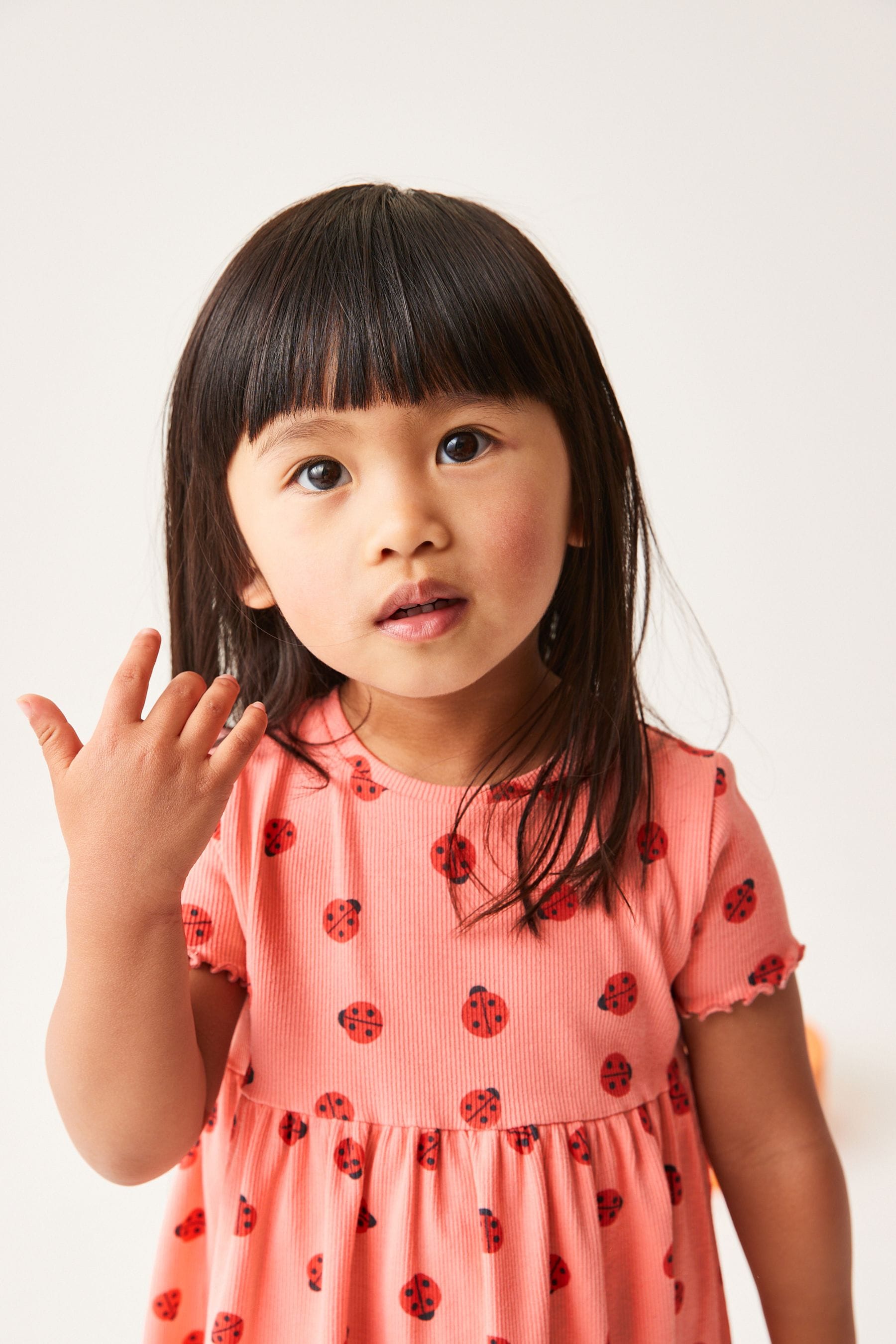 Pink Ladybird Short Sleeve Rib Jersey Dress (3mths-7yrs)