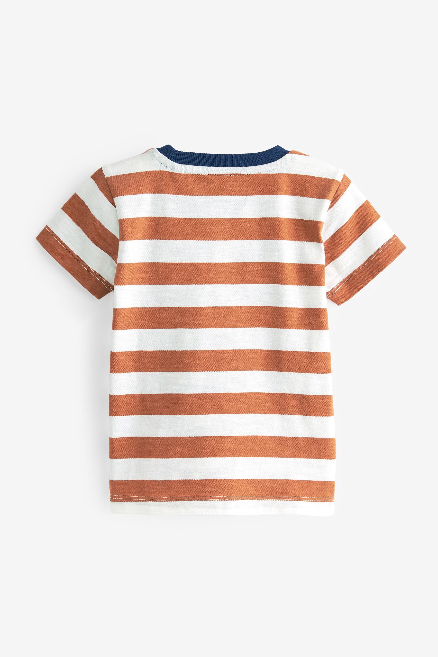 Rust Brown Stripe Train Short Sleeve Character T-Shirt (3mths-7yrs)