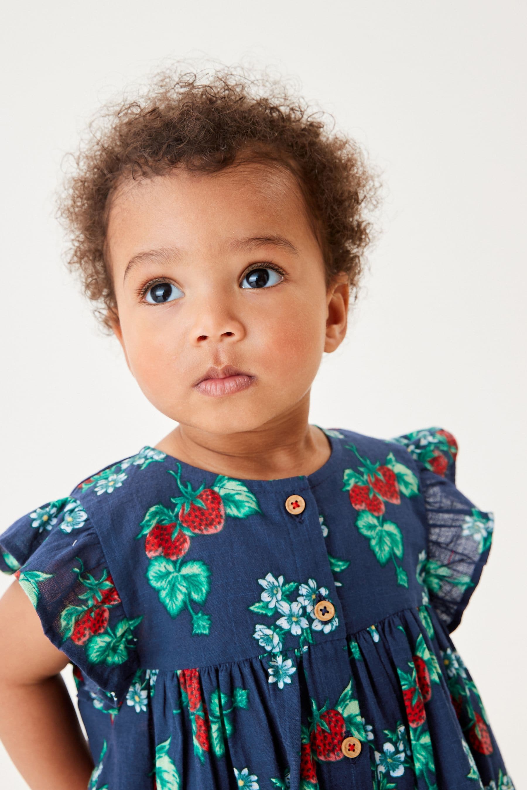 Navy Blue Strawberry Print Frill Sleeve Cotton Dress (3mths-8yrs)