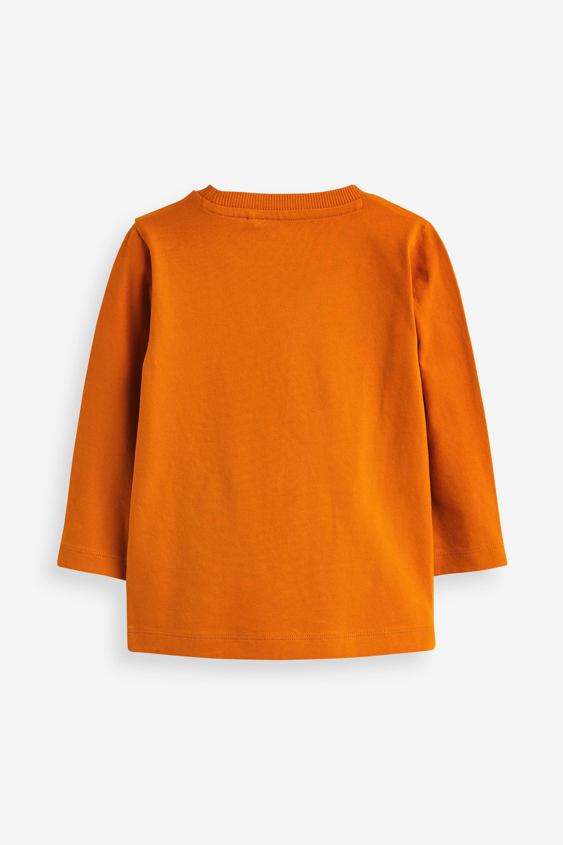 Orange Dog Scooter Long Sleeve Character T-Shirt (3mths-7yrs)