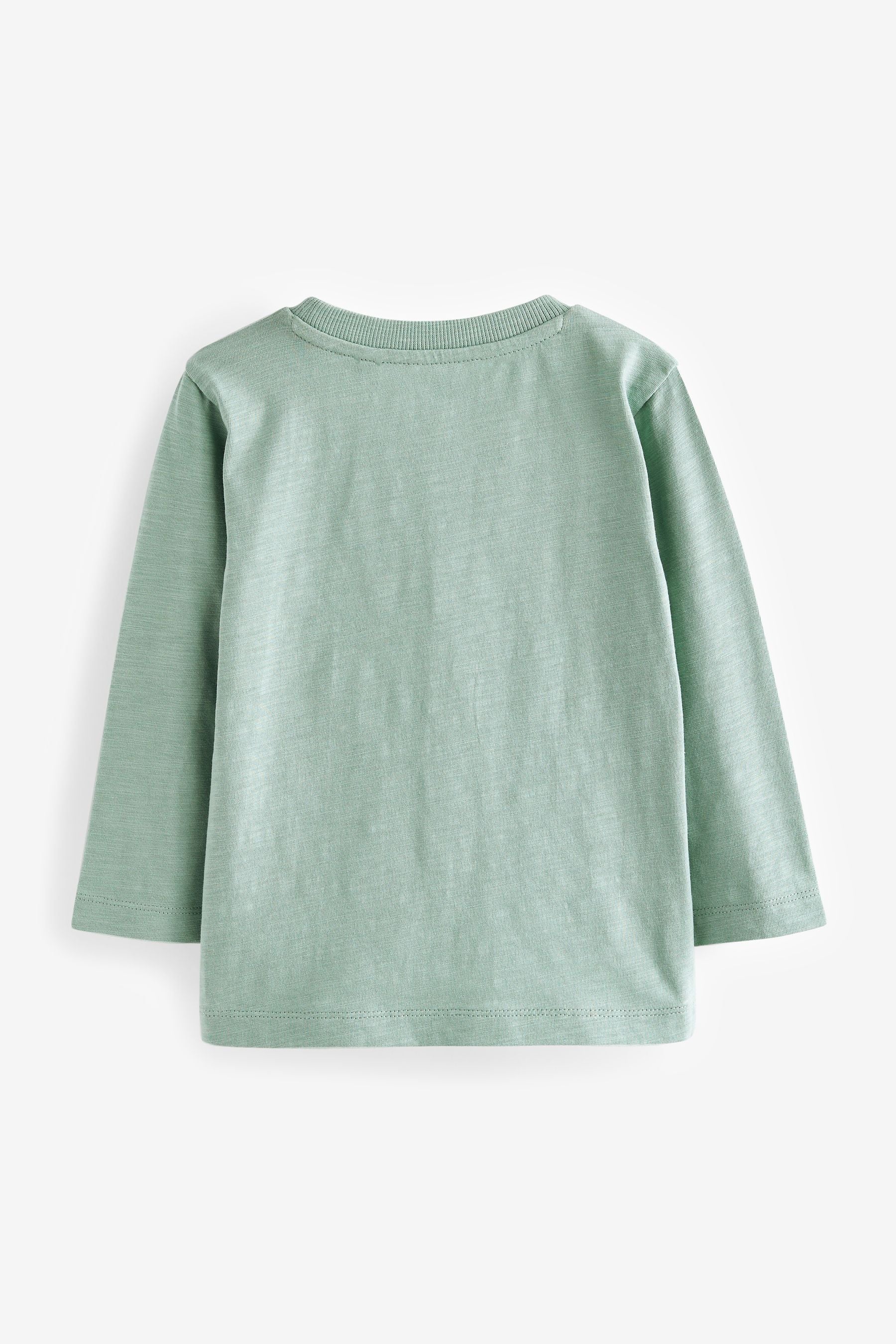 Mineral Fox Long Sleeve Character T-Shirt (3mths-7yrs)