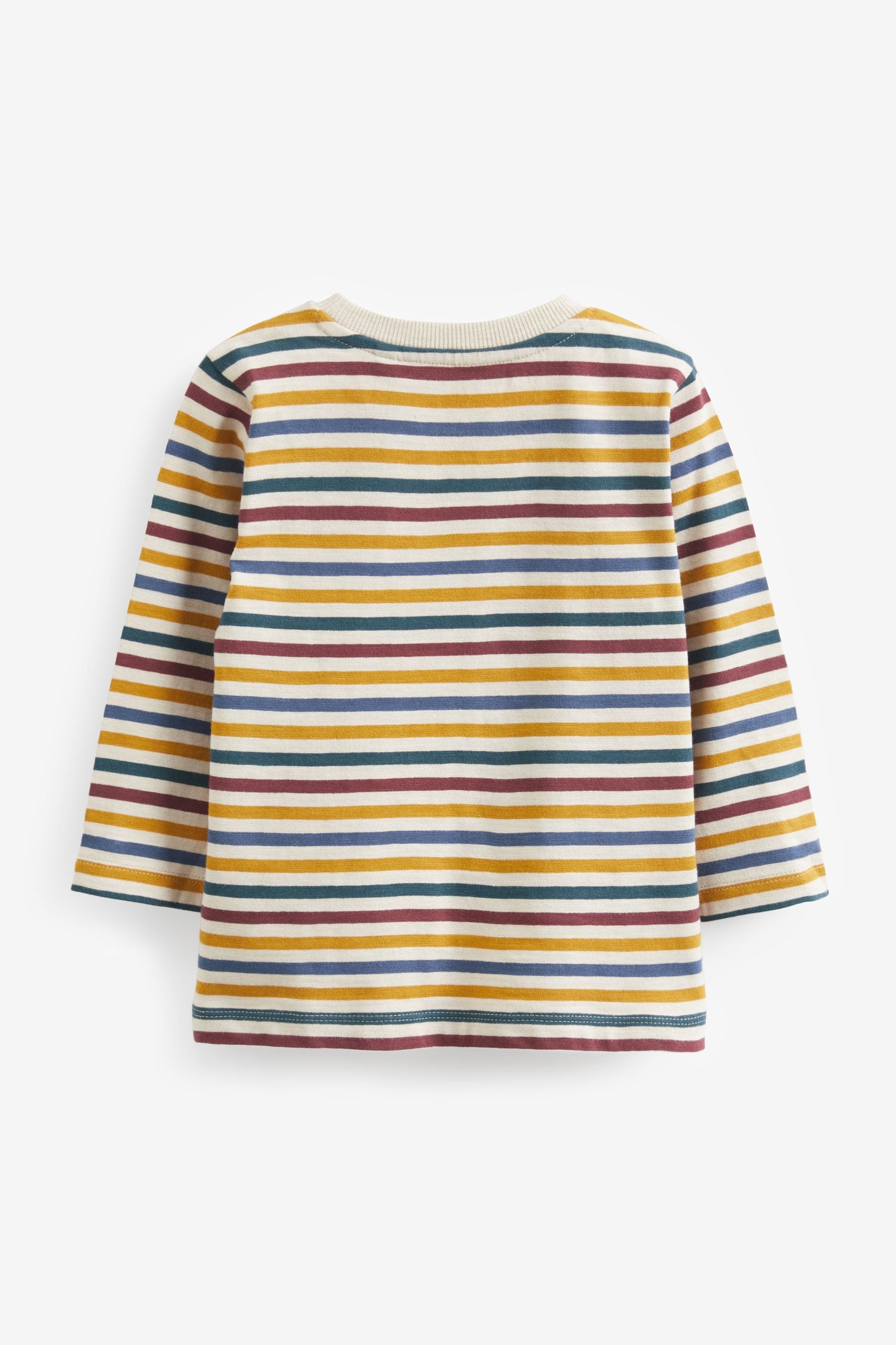 Plum Purple/Yellow Stripe Plain Long Sleeve T-Shirts 5 Pack (3mths-7yrs)