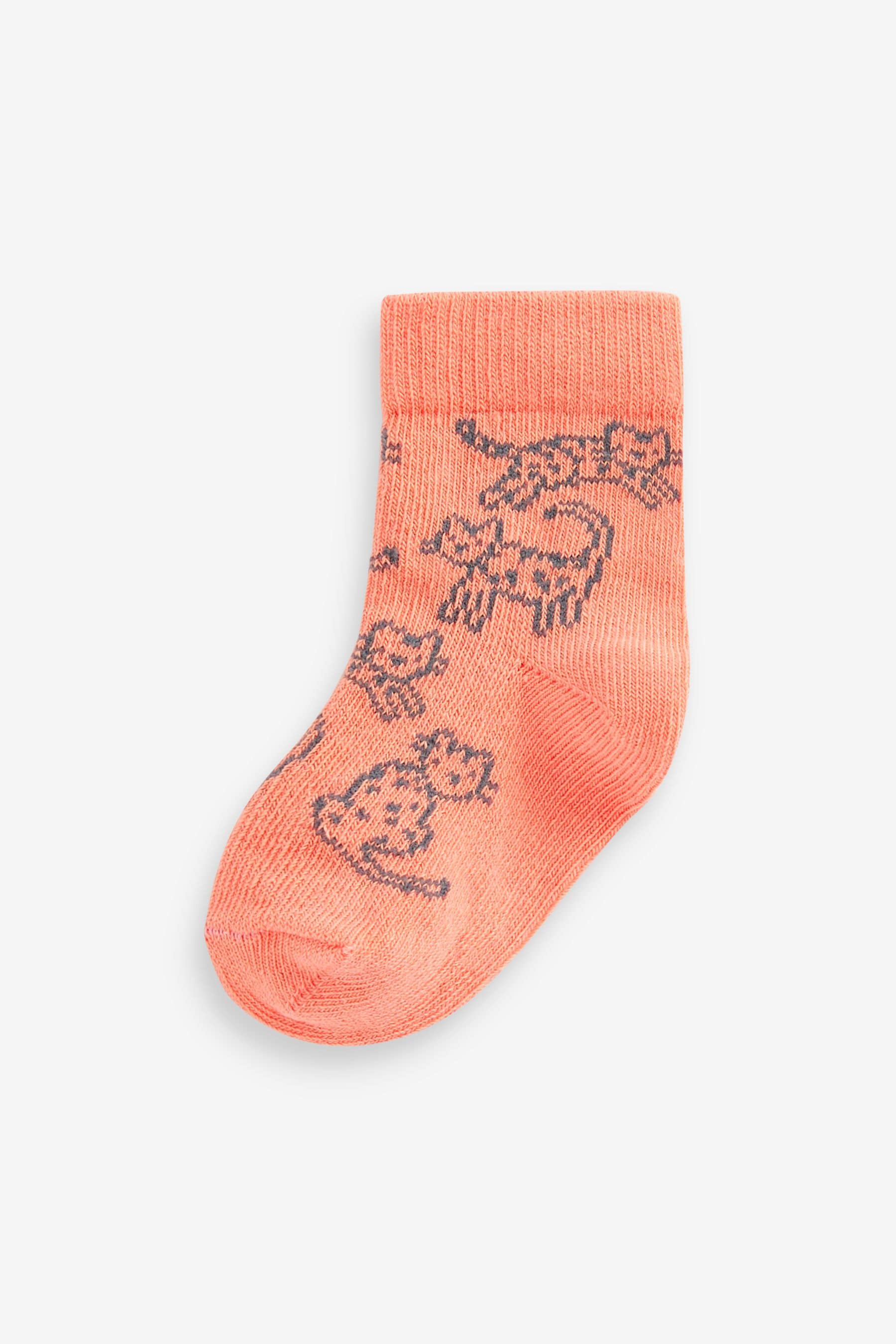 Bright Animals Baby Socks 5 Pack (0mths-2yrs)