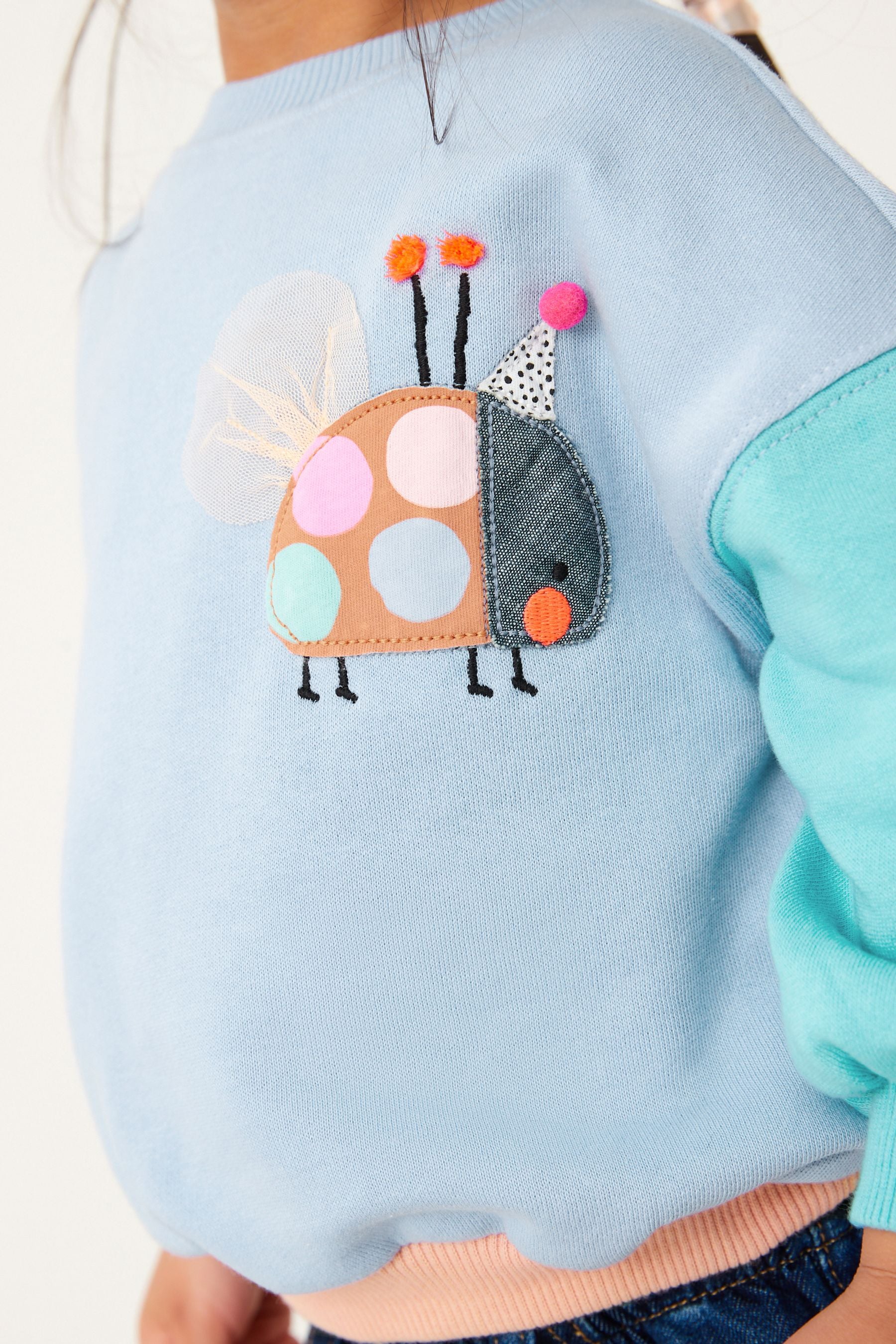 Blue Ladybird Sweatshirt (3mths-7yrs)