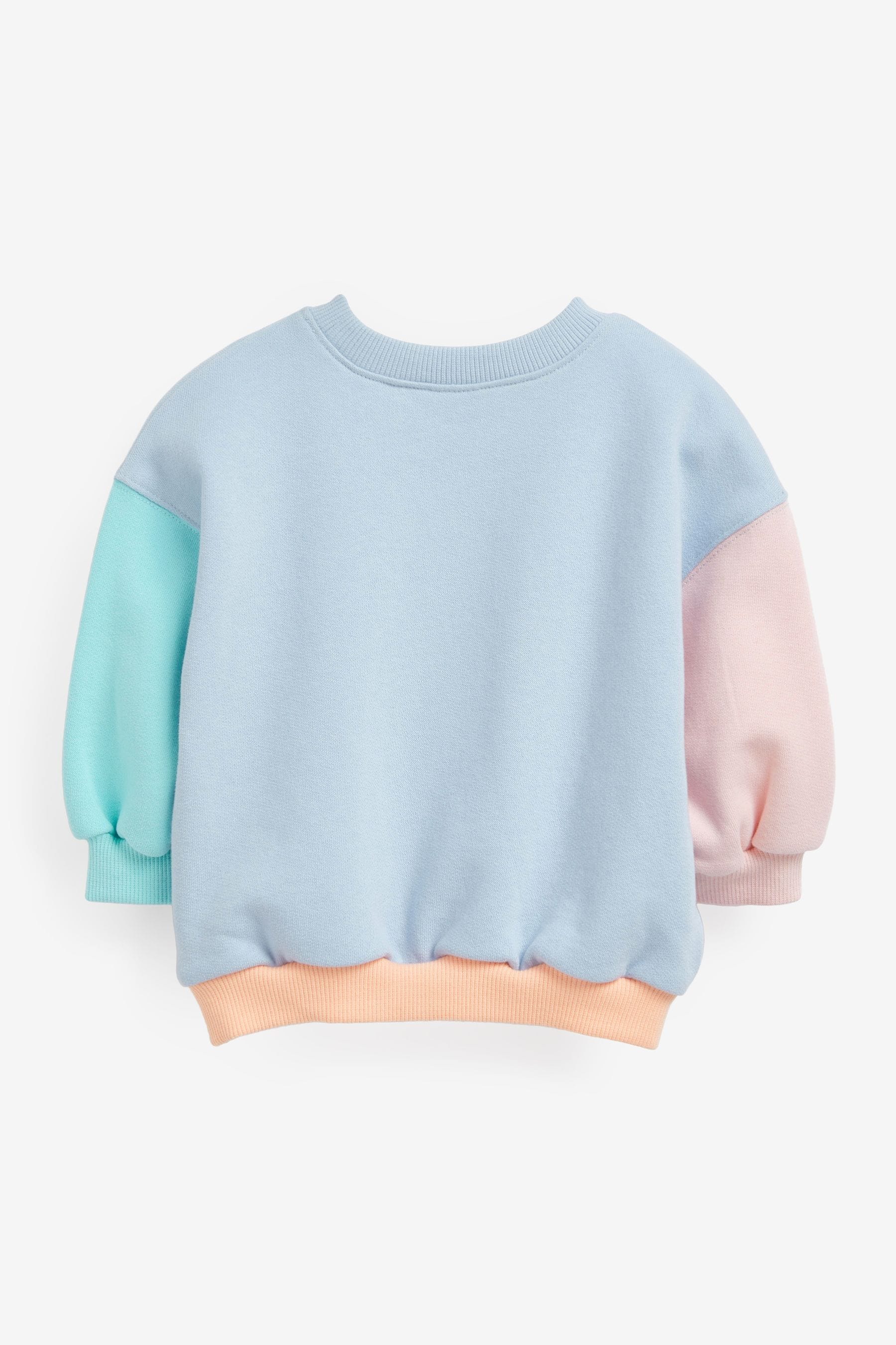 Blue Ladybird Sweatshirt (3mths-7yrs)