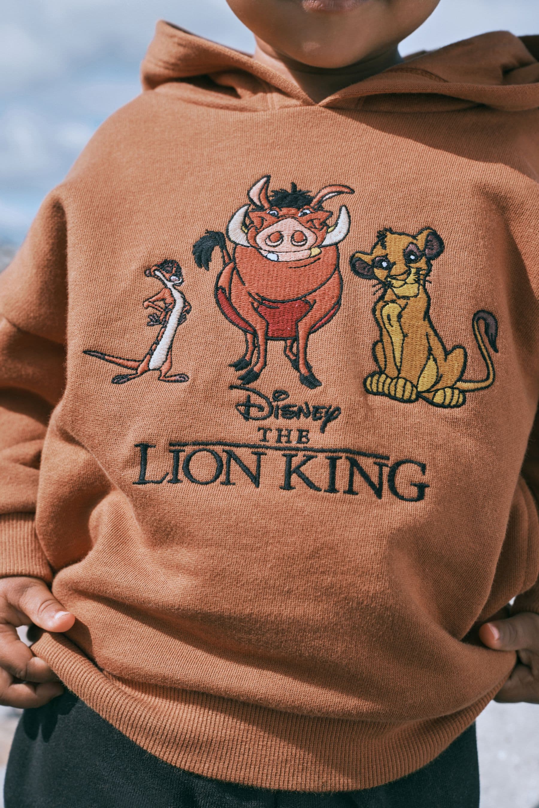 Rust Brown Disney Lion King Hoodie 6mths 8yrs HappyBaby.eg