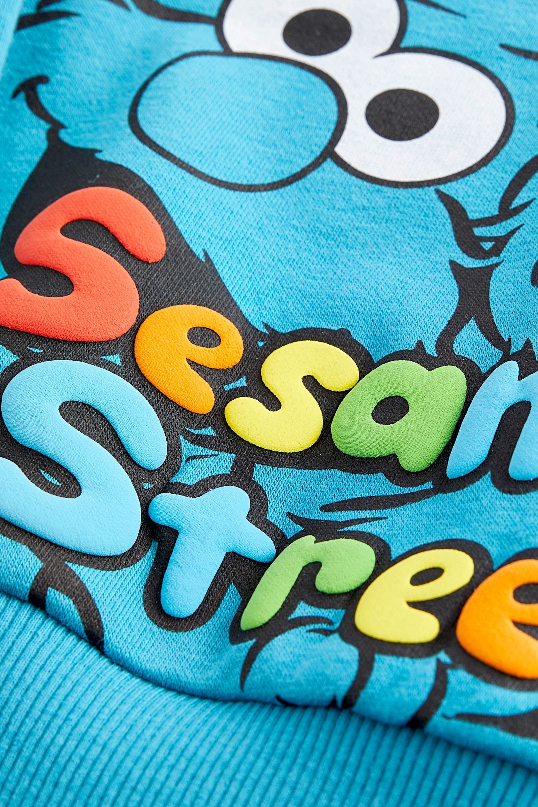 Blue Sesame Street Sweatshirt (6mths-8yrs)