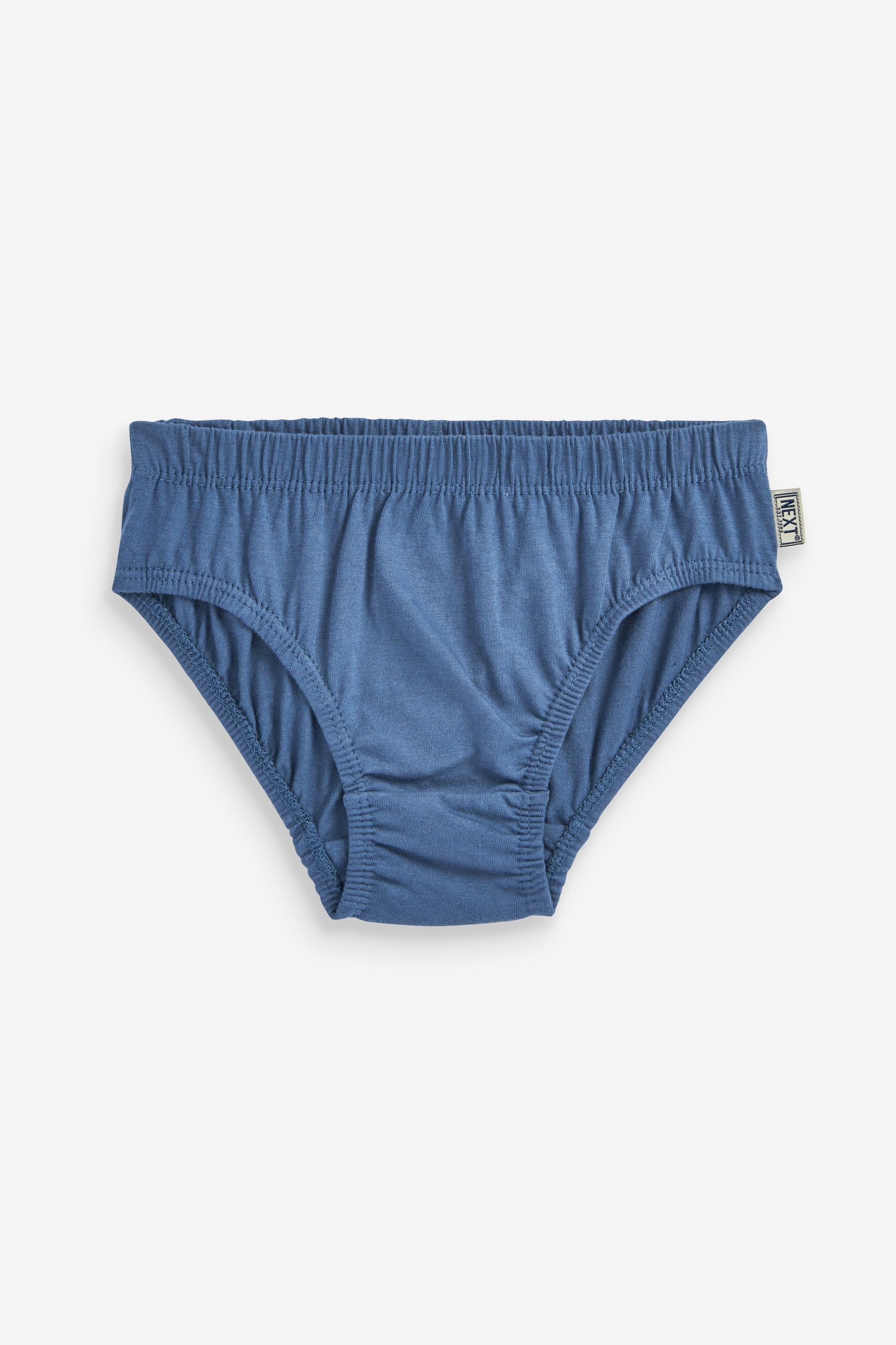 Blue Briefs 10 Pack (1.5-16yrs)