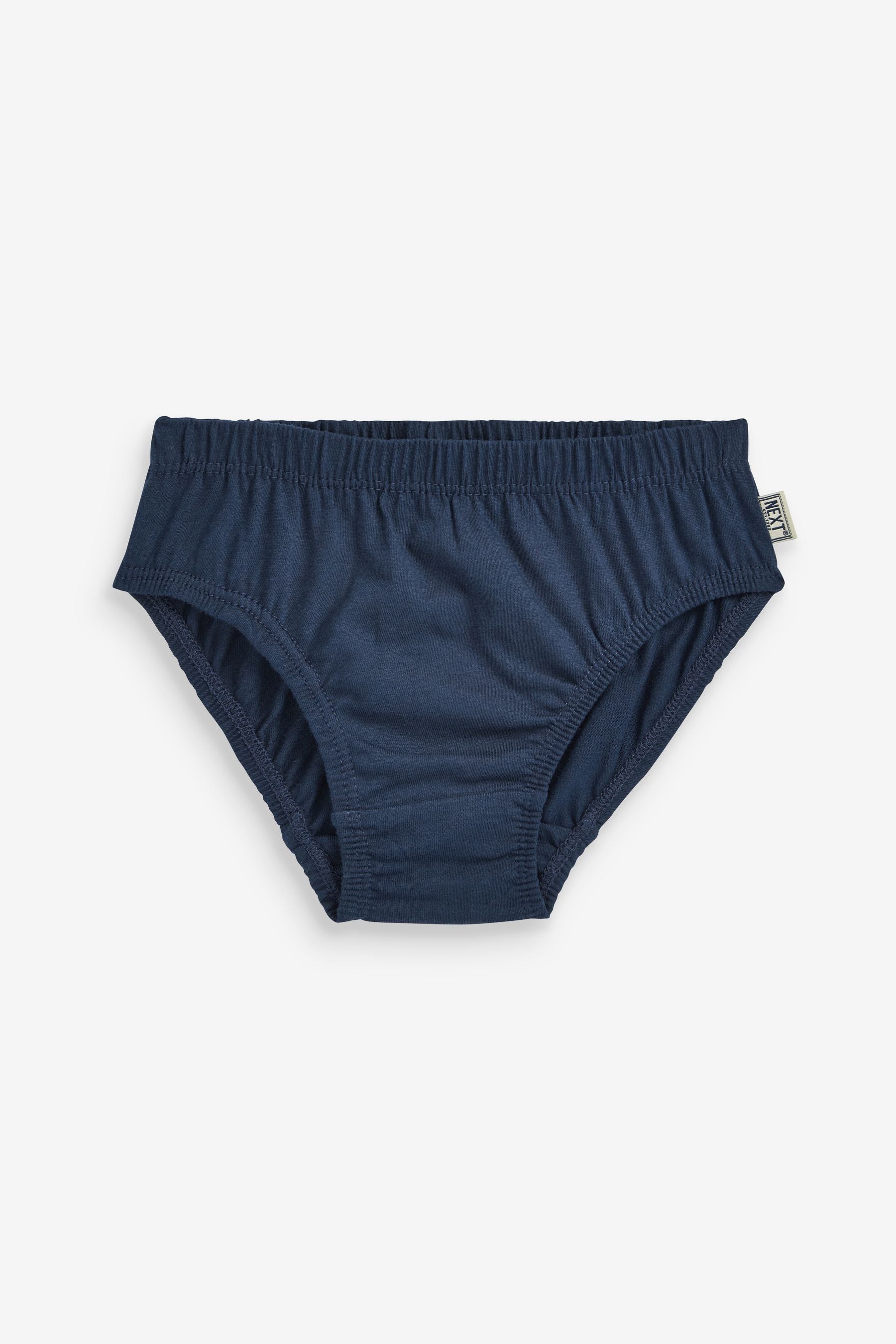 Blue Briefs 10 Pack (1.5-16yrs)