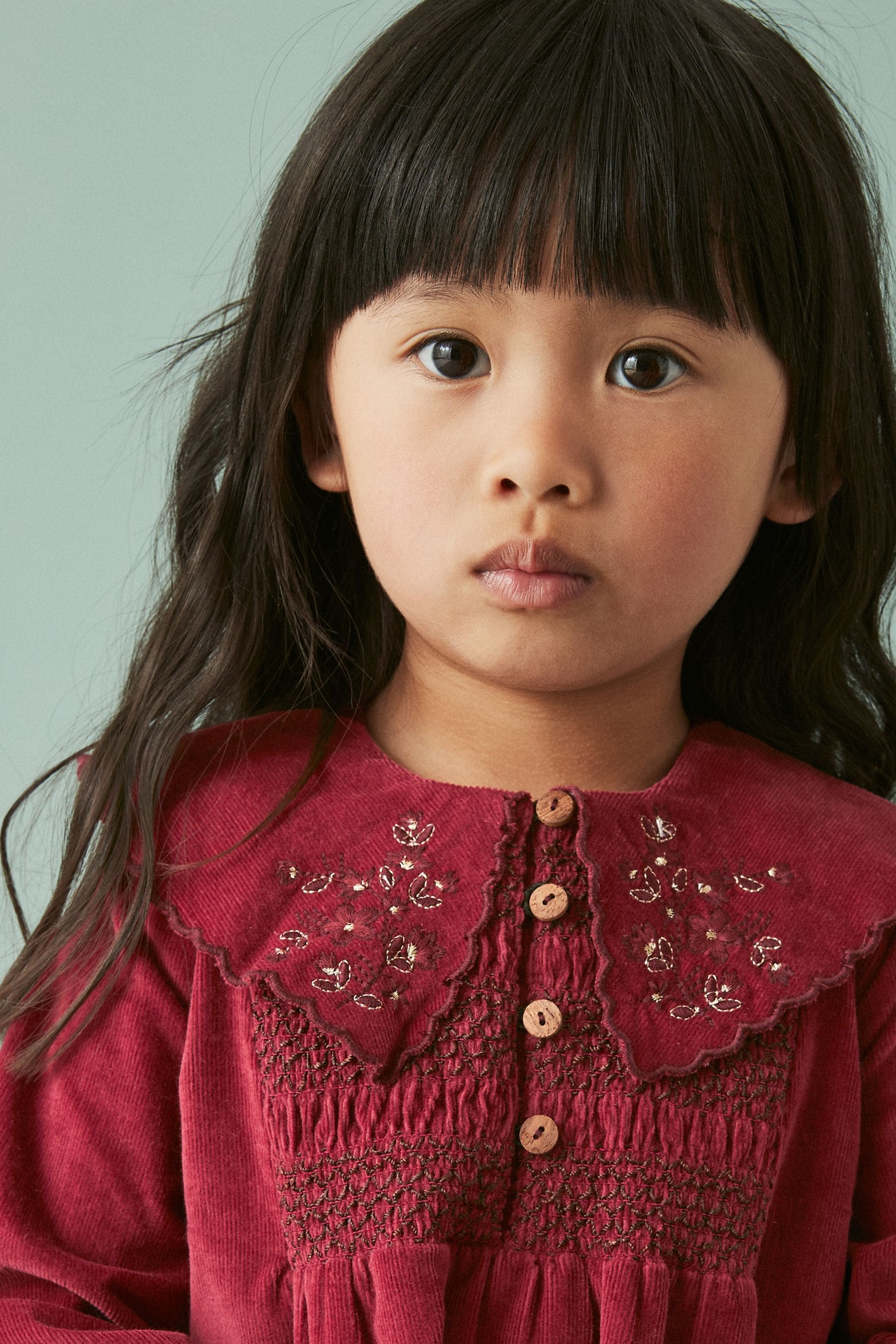 Berry Red Embroidered Collar Corduroy Dress (3mths-7yrs)