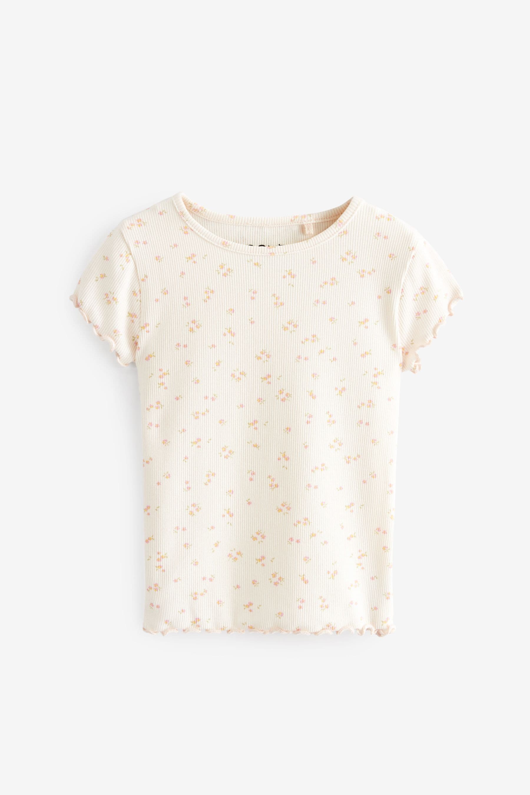 Ecru Cream Ditsy Floral Rib Short Sleeve T-Shirt (3mths-7yrs)