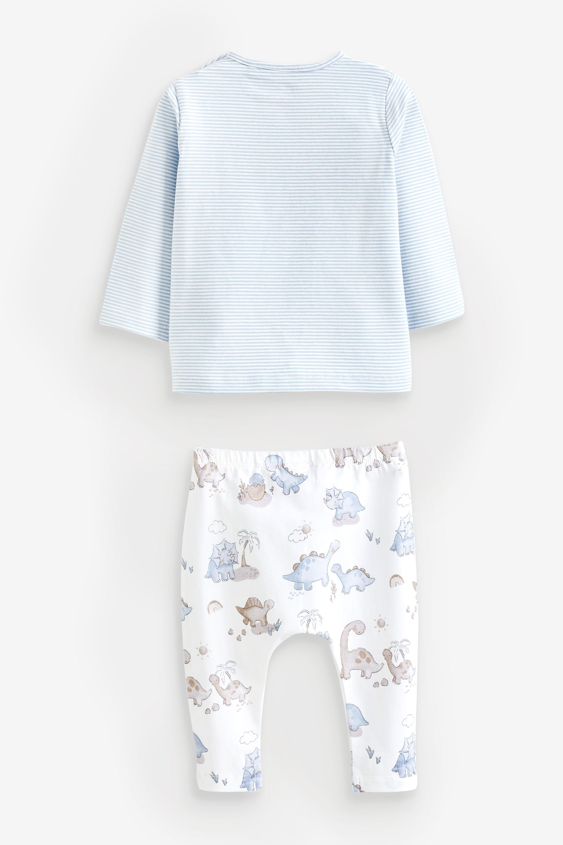 Blue Dinosaur Baby Top and Leggings 2 Piece Set