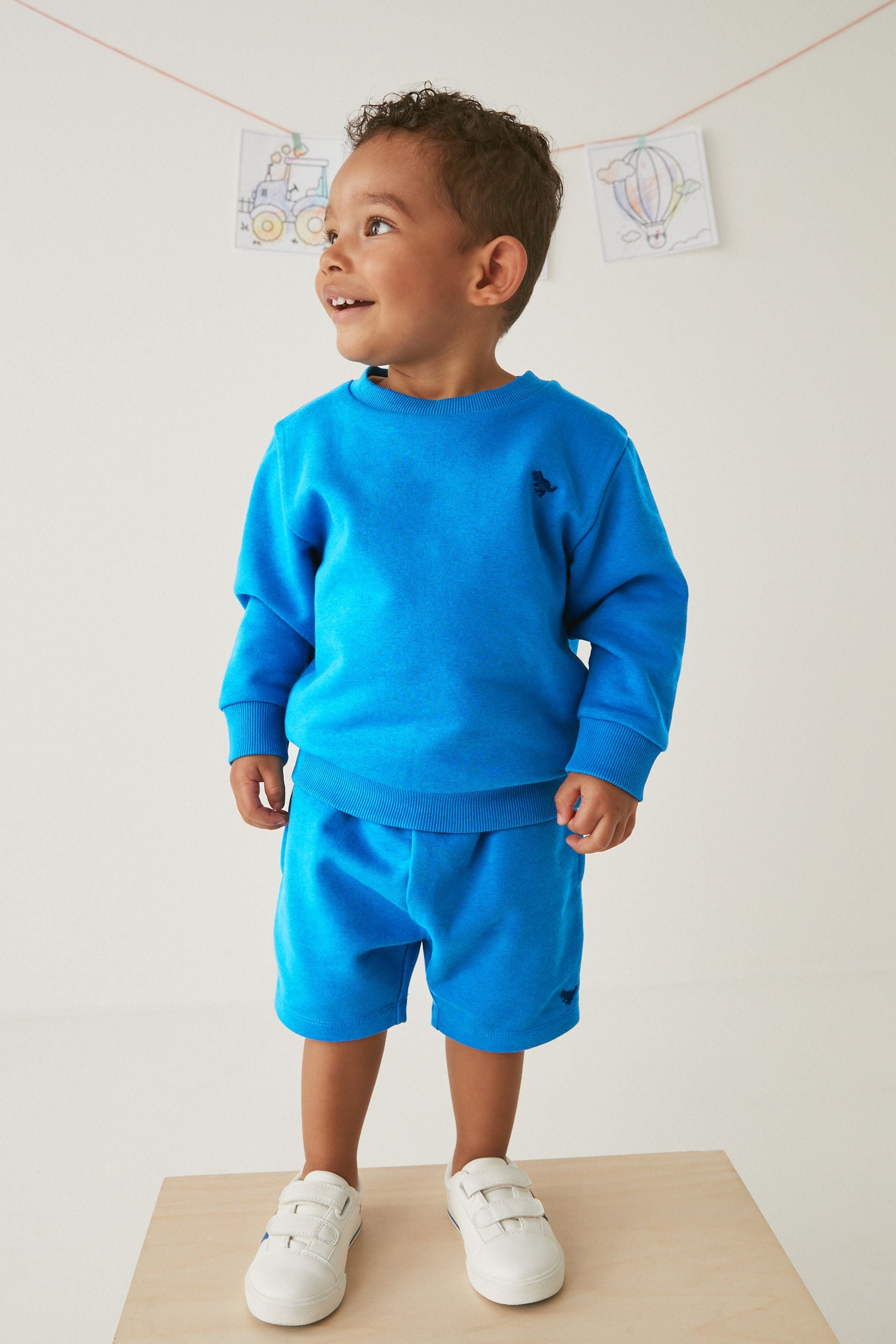 Cobalt Blue Sweatshirt and Shorts Set (3mths-7yrs)