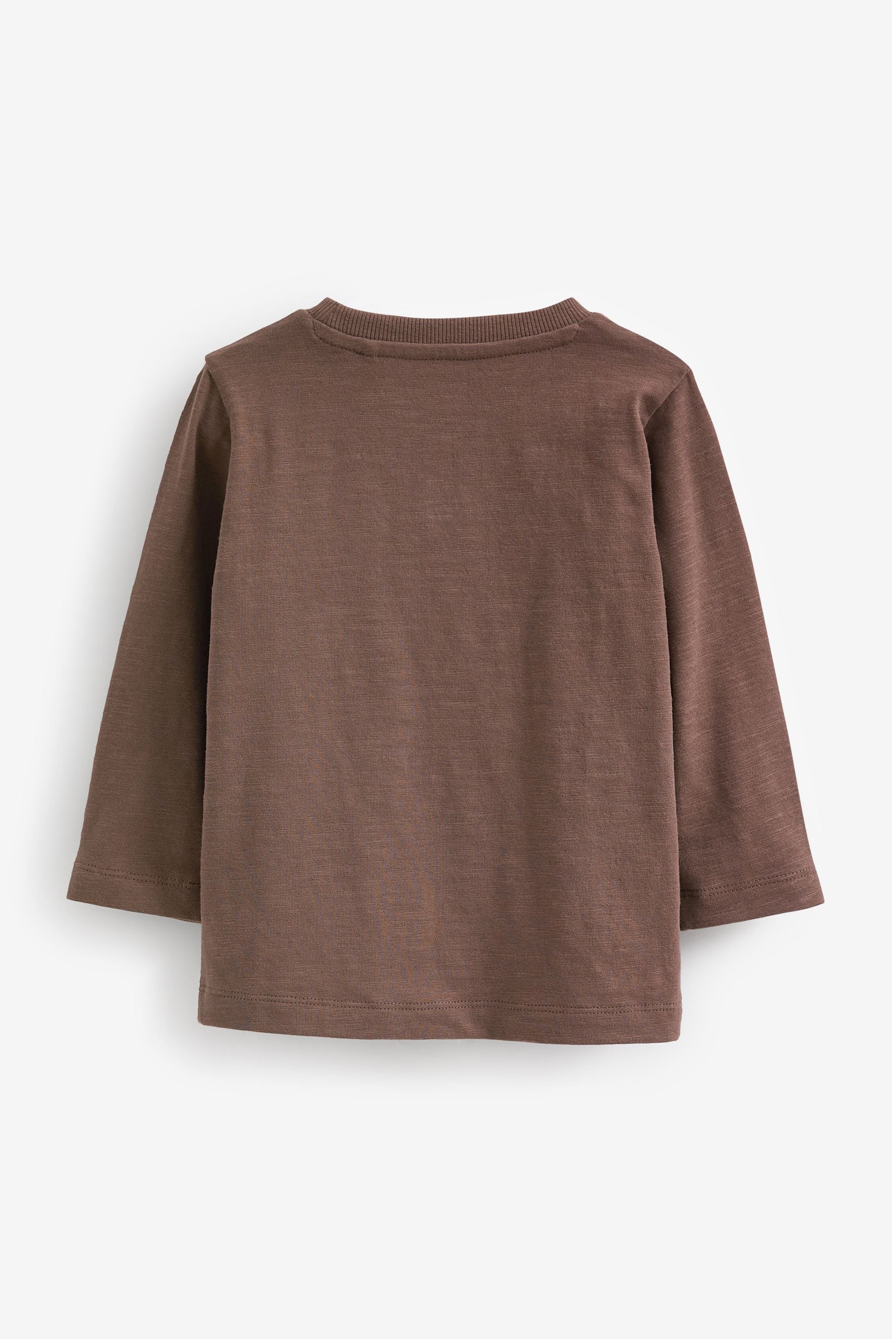 Brown Penguin Long Sleeve Character T-Shirt (3mths-7yrs)