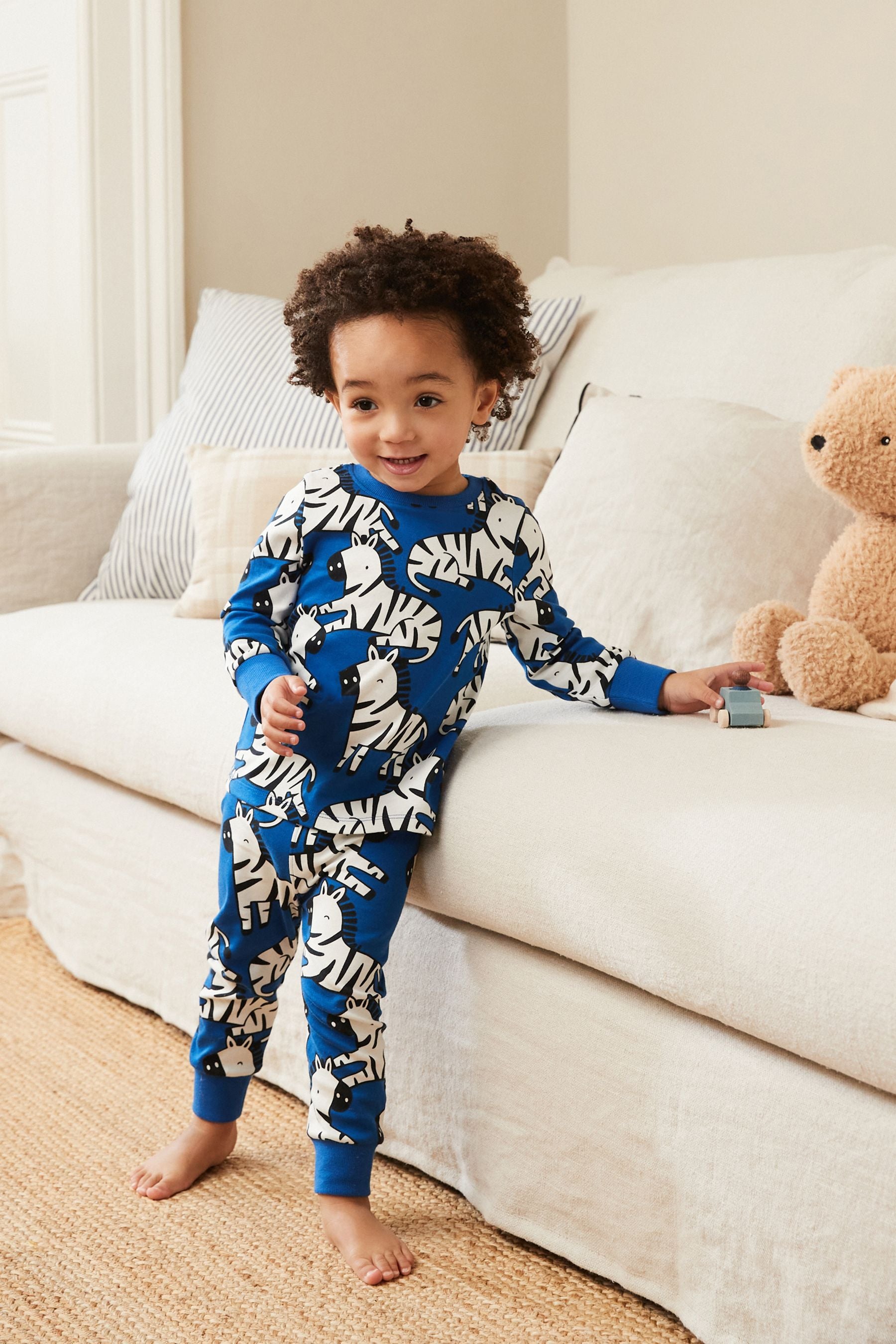 Blue Zebra Print Snuggle Pyjamas (9mths-8yrs)