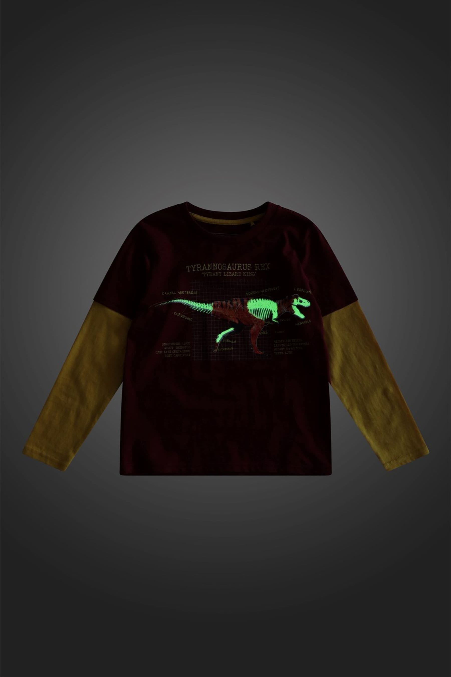 Purple Mountain Warehouse Glow In The Dark Dino Kids Organic T-Shirt