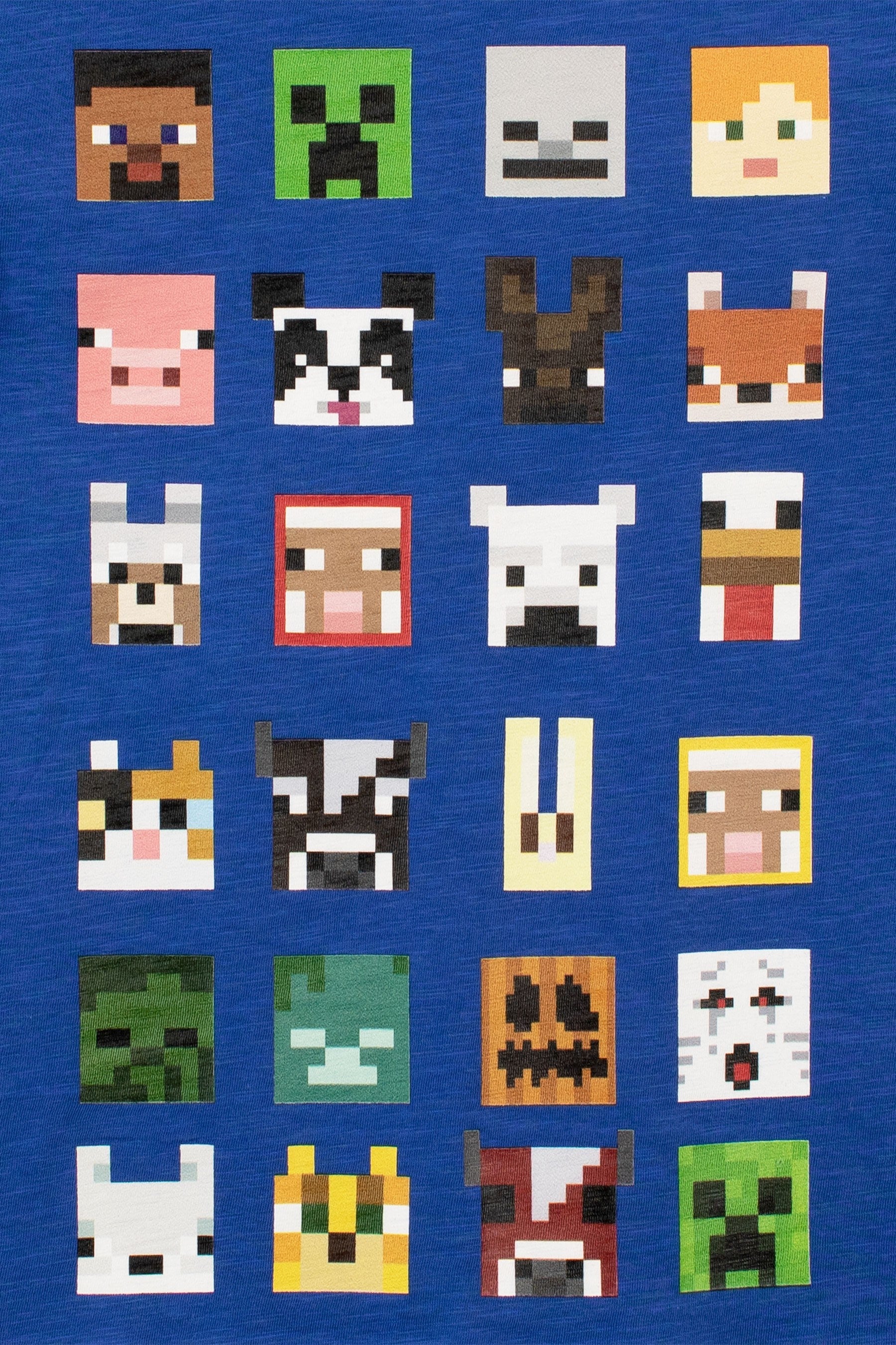 Character Blue Minecraft T-Shirt