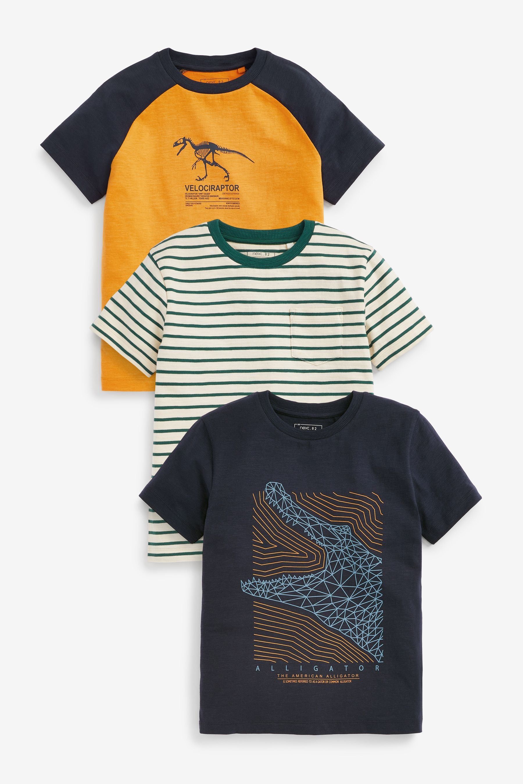 Ochre Yellow/Navy Blue 3 Pack Crocodile Dinosaur Short Sleeve T-Shirts (3-16yrs)