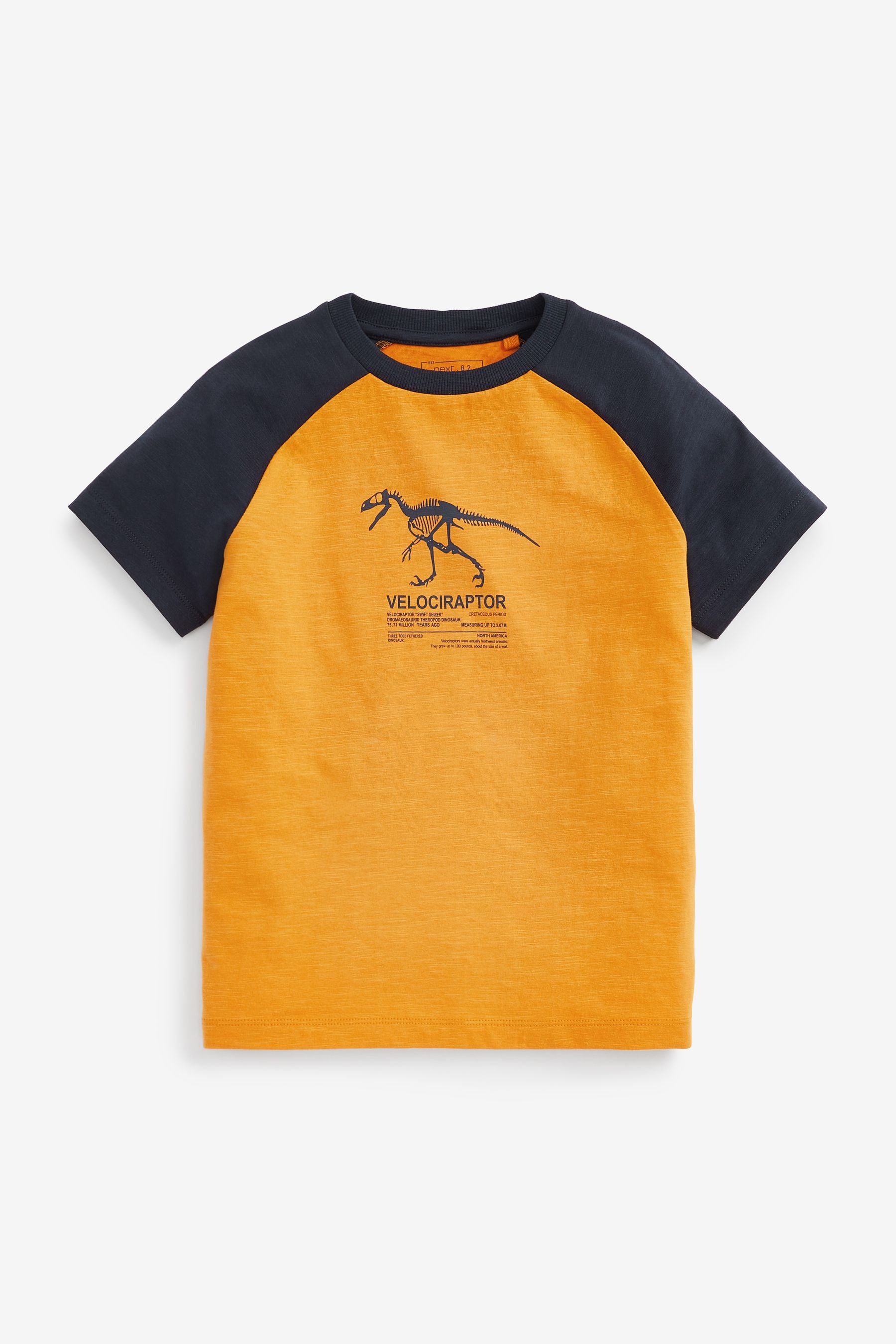 Ochre Yellow/Navy Blue 3 Pack Crocodile Dinosaur Short Sleeve T-Shirts (3-16yrs)