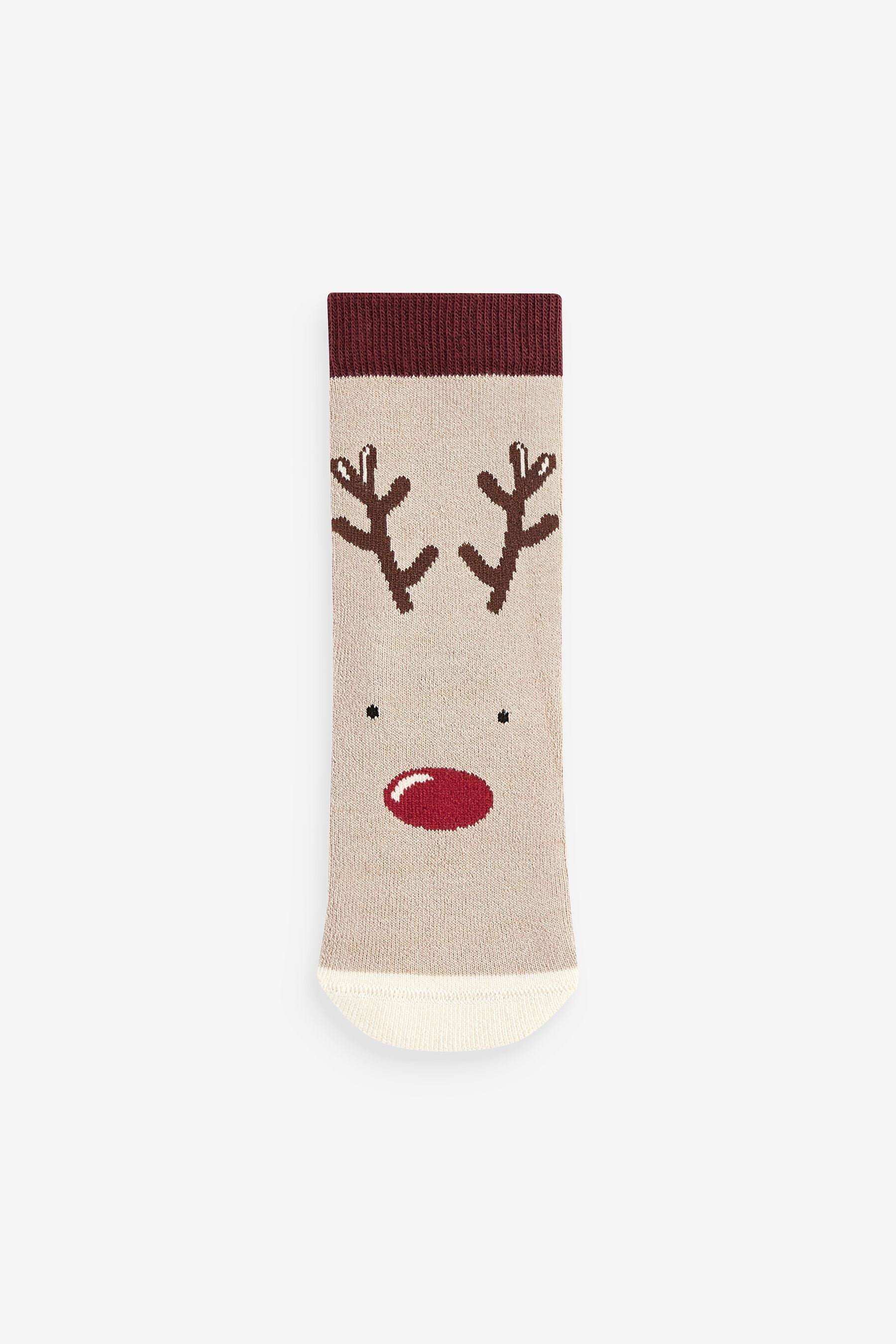 Multi Christmas 5 Pack Cotton Rich Terry Socks