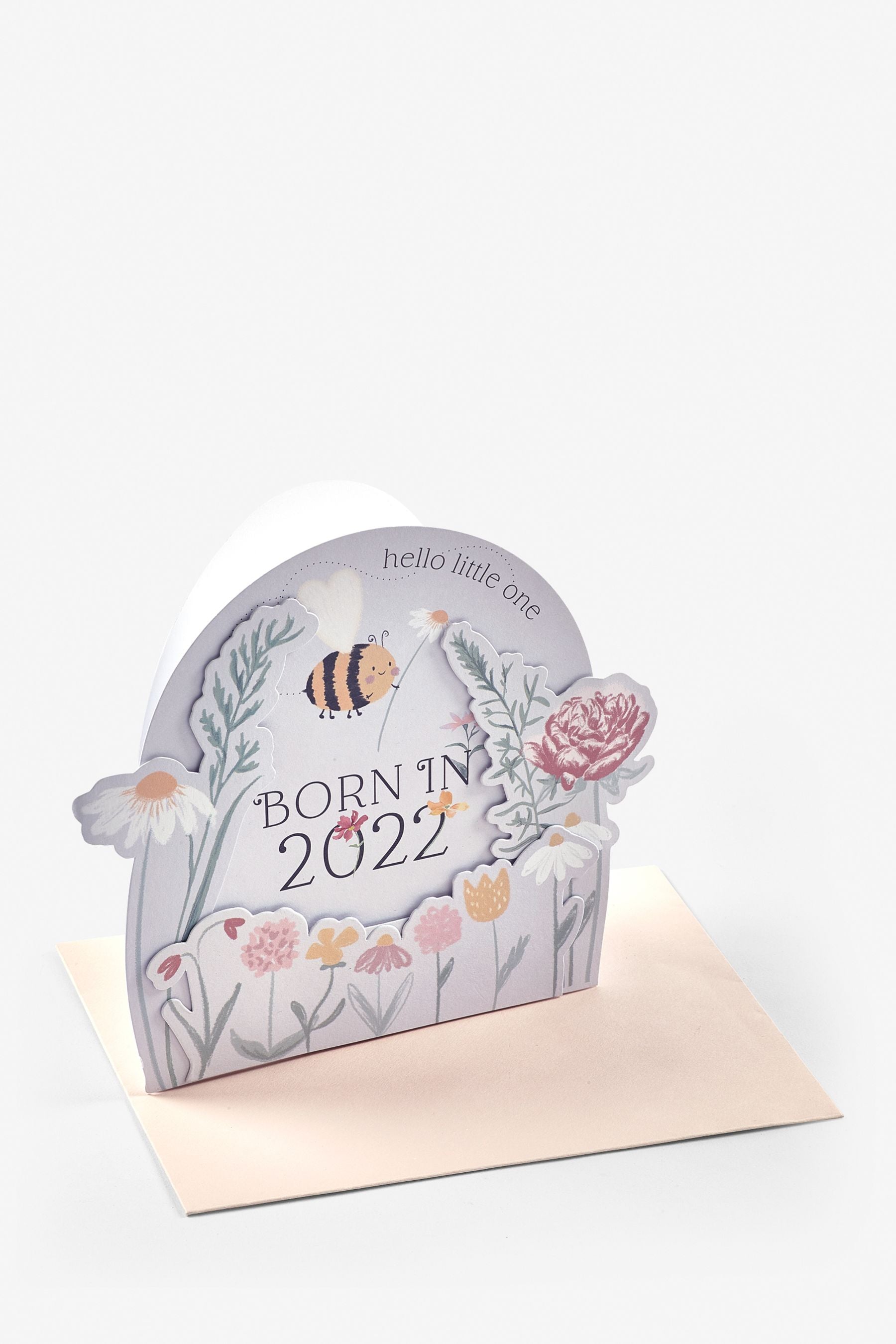 Grey Born In 2022 Baby Folding Card