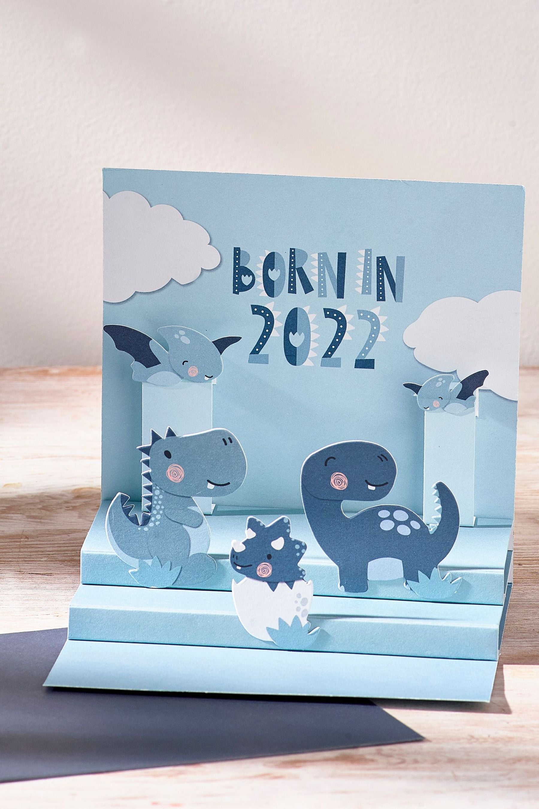 Blue Born In 2022 Baby Folding Card