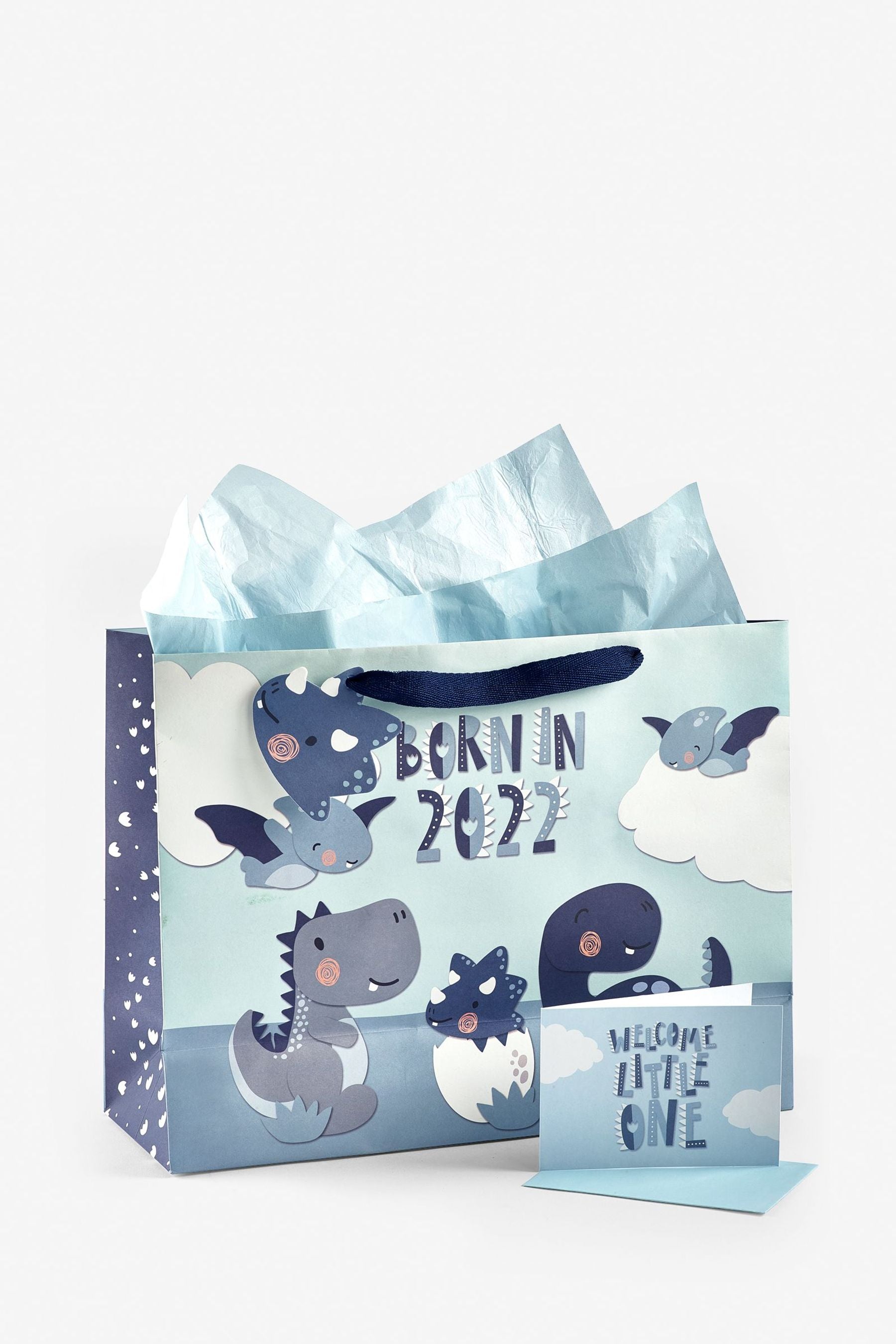 Blue Born In 2022 Baby Gift Bag and Card Set