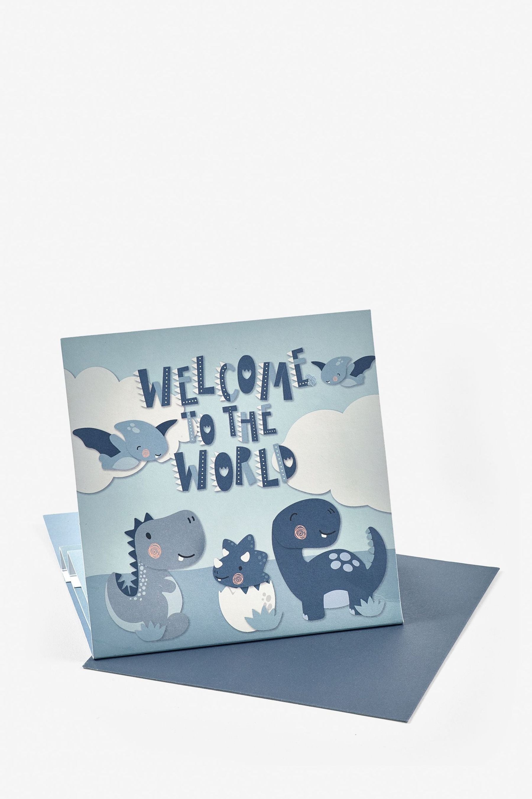 Blue Born In 2022 Baby Folding Card