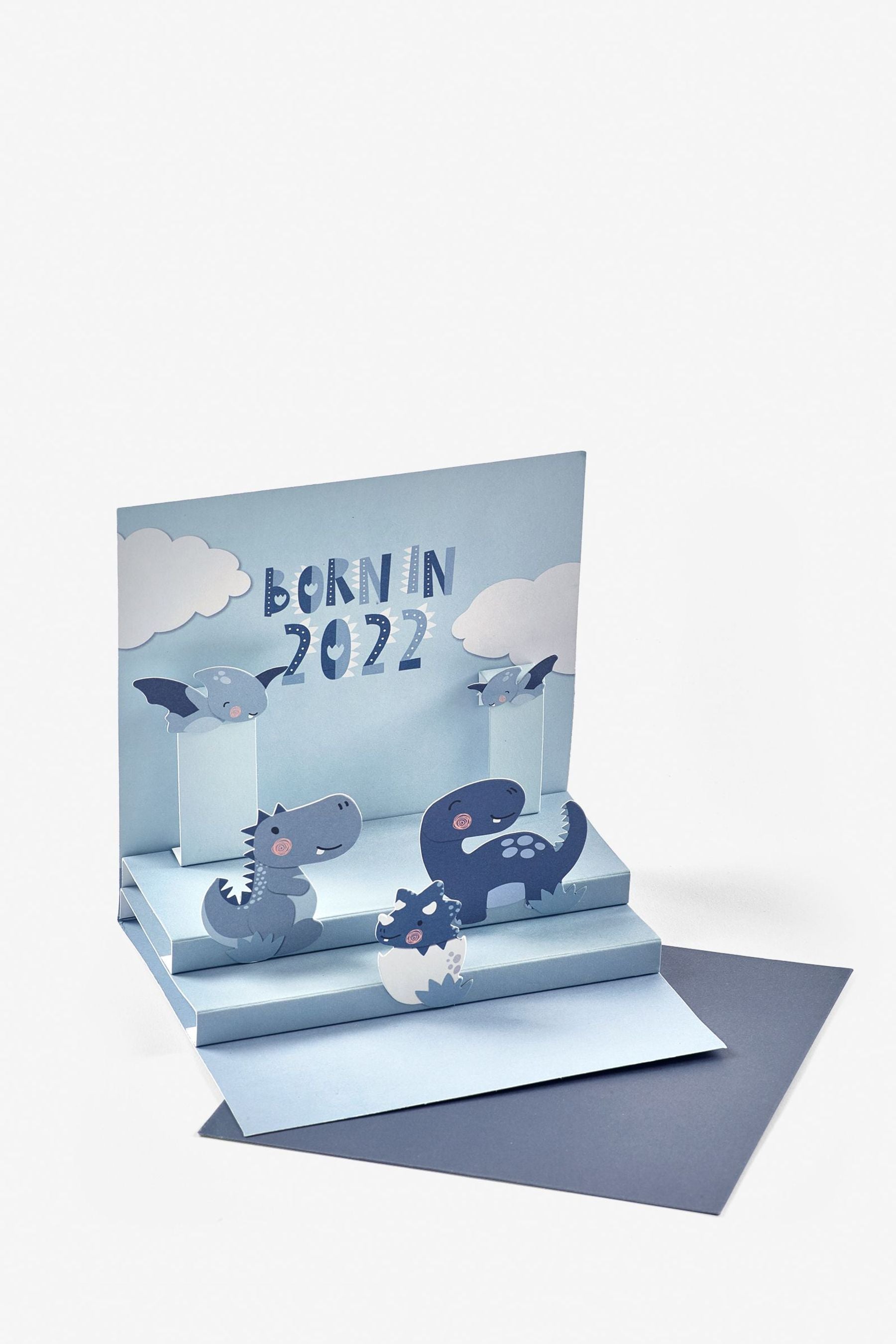 Blue Born In 2022 Baby Folding Card