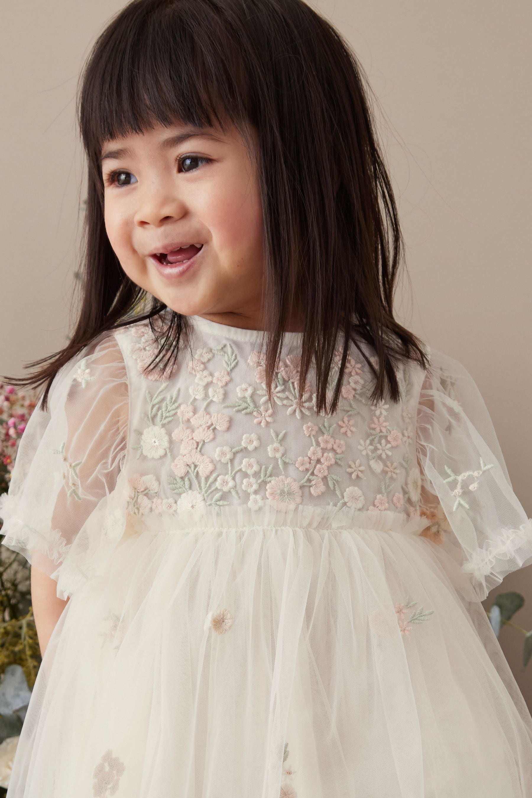 White Embroidered Mesh Party Dress (3mths-7yrs)