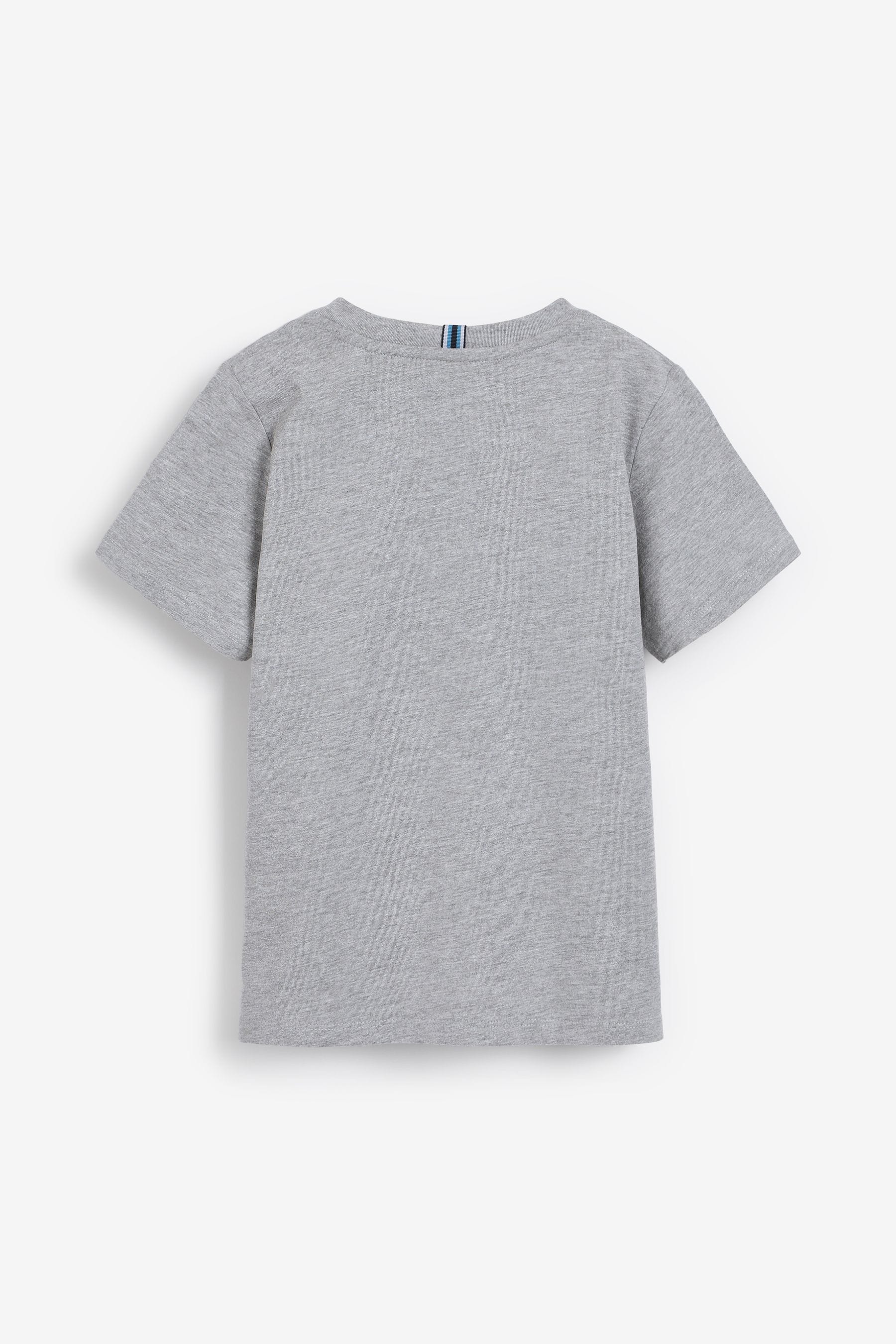 Grey Baker by Ted Baker T-Shirt