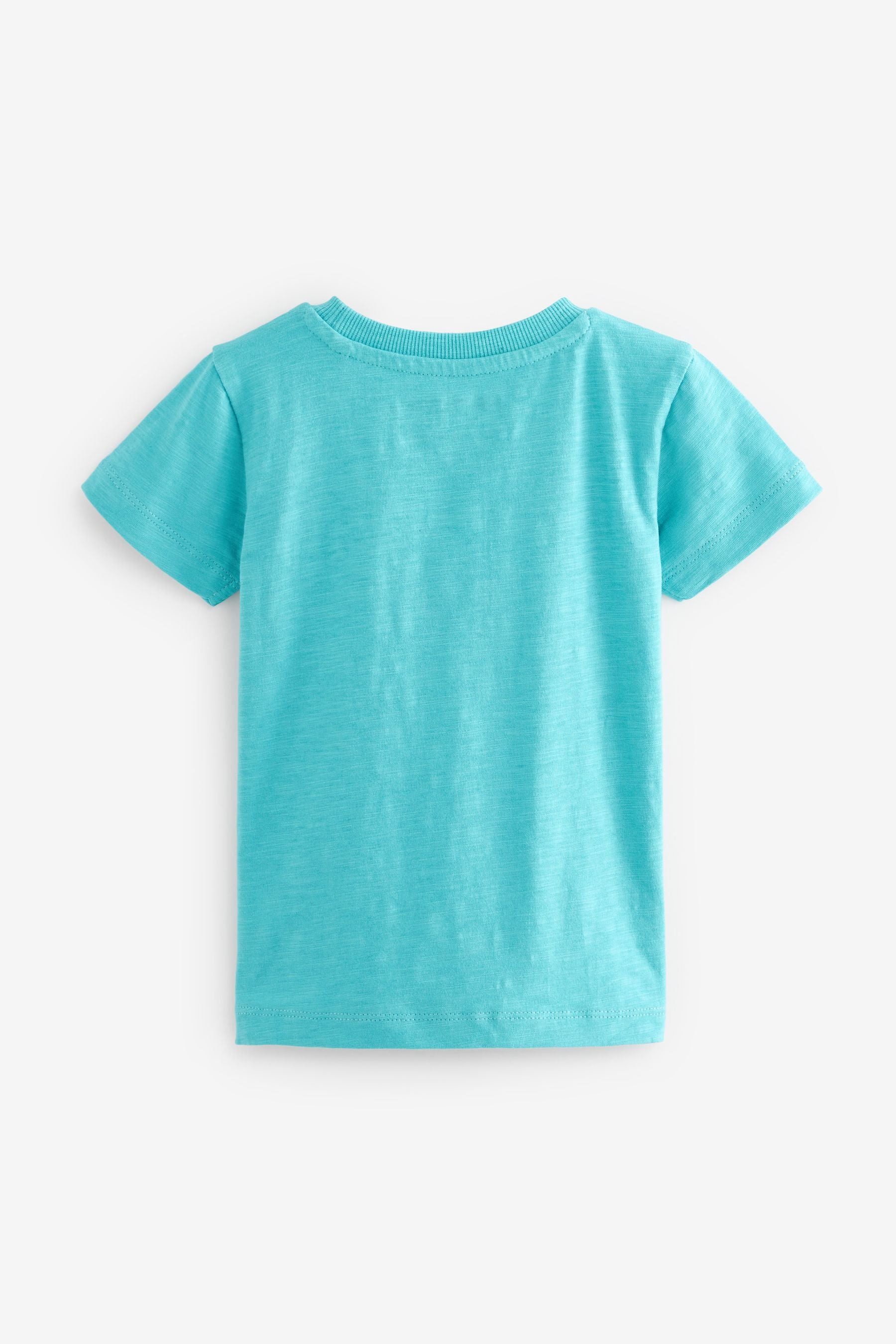 Turquoise Blue Mini Lion Short Sleeve Character T-Shirt (3mths-7yrs)