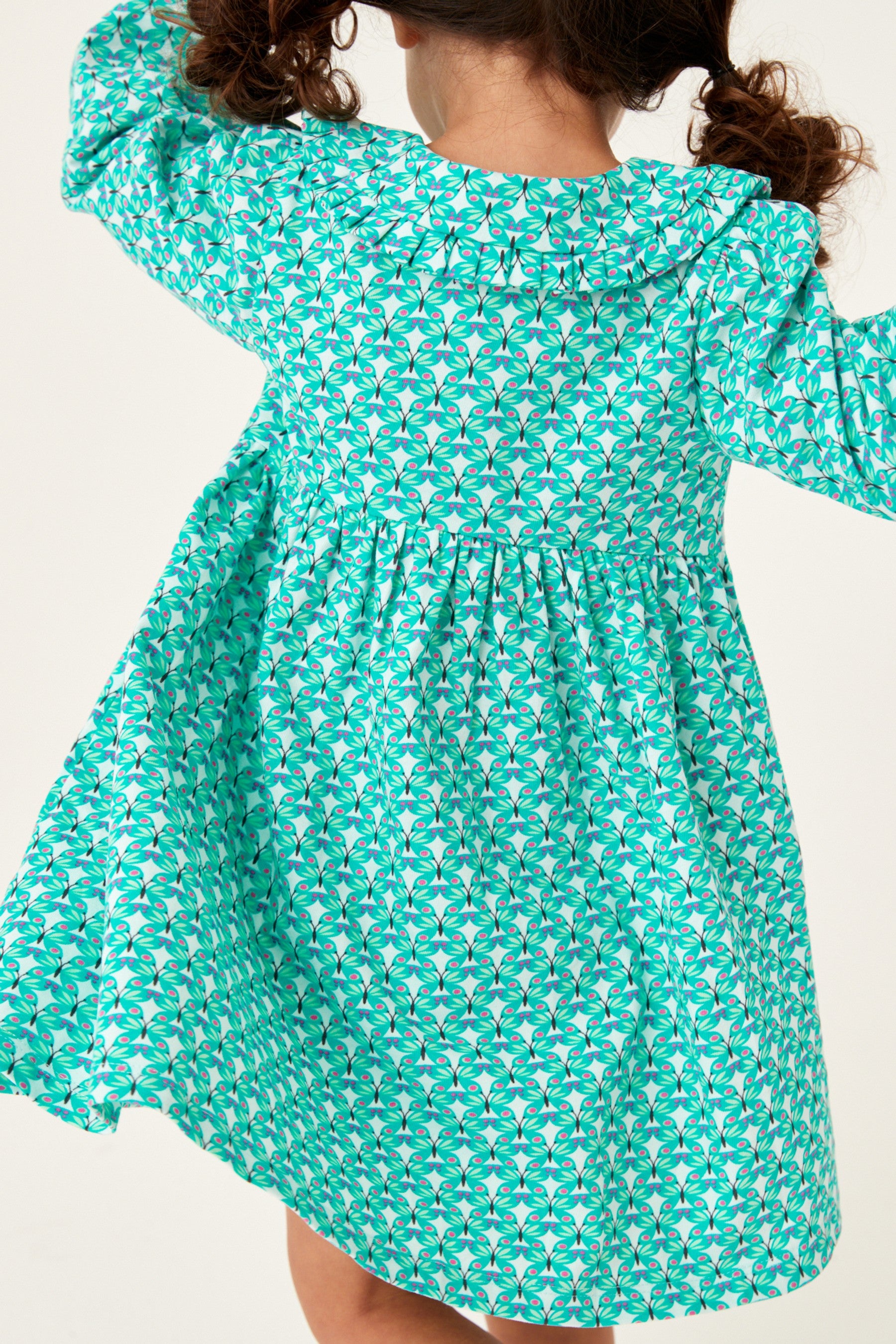 Green Geo Butterfly Long Sleeve Jersey Tea Dress (3mths-7yrs)