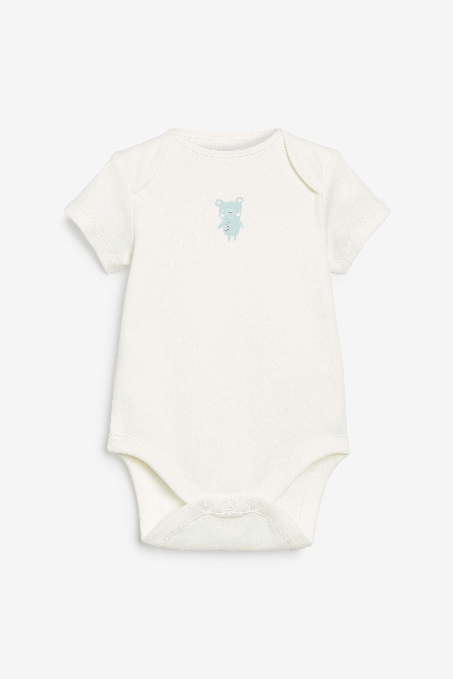 Blue Bunny Baby 7 Pack Short Sleeve Bodysuits (0mths-3yrs)