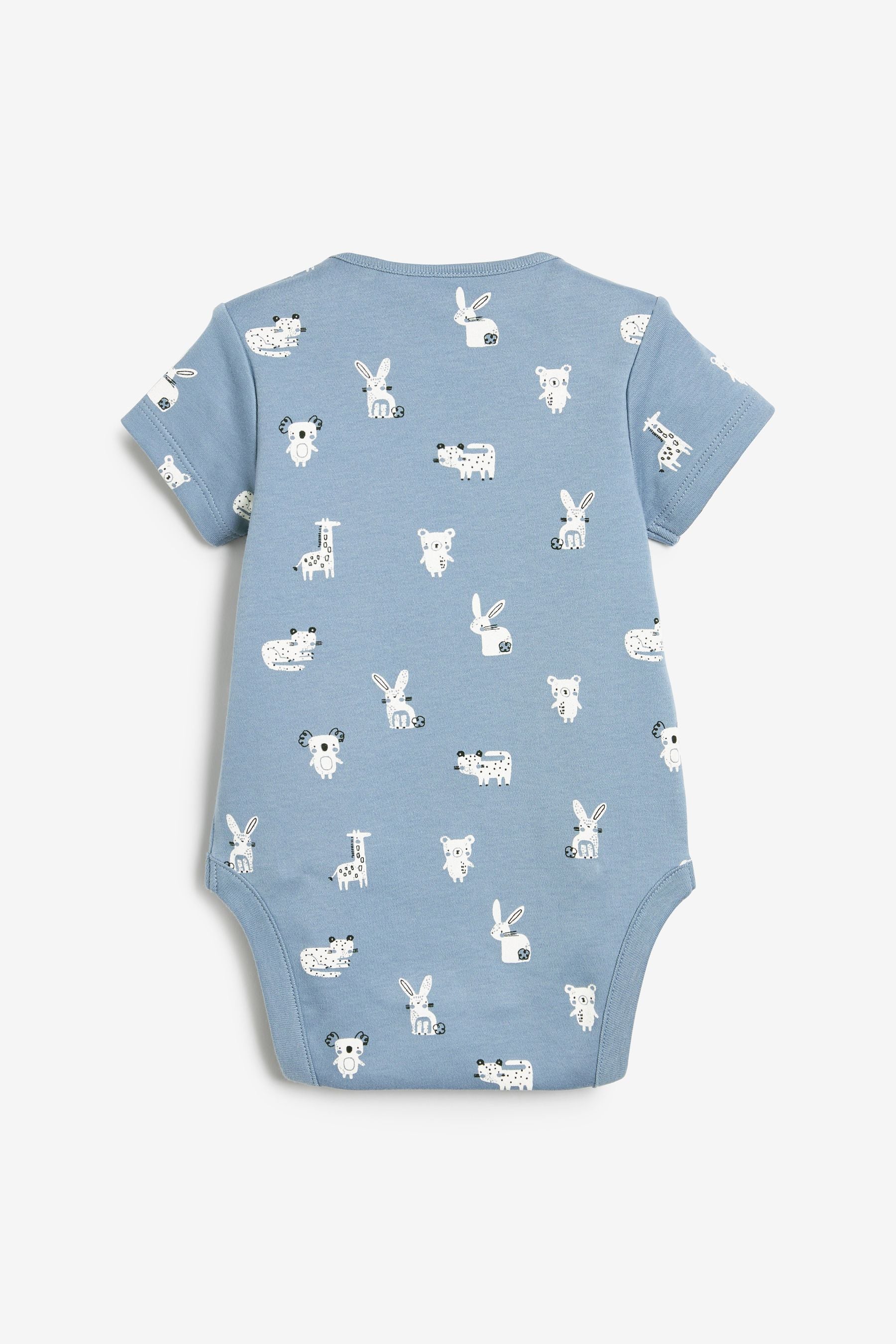 Blue Bunny Baby 7 Pack Short Sleeve Bodysuits (0mths-3yrs)